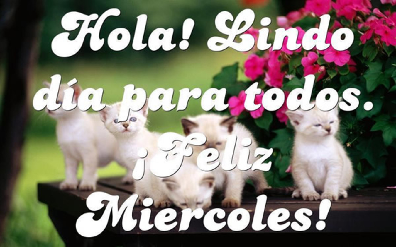 Bellas imágenes Feliz Miércoles 248