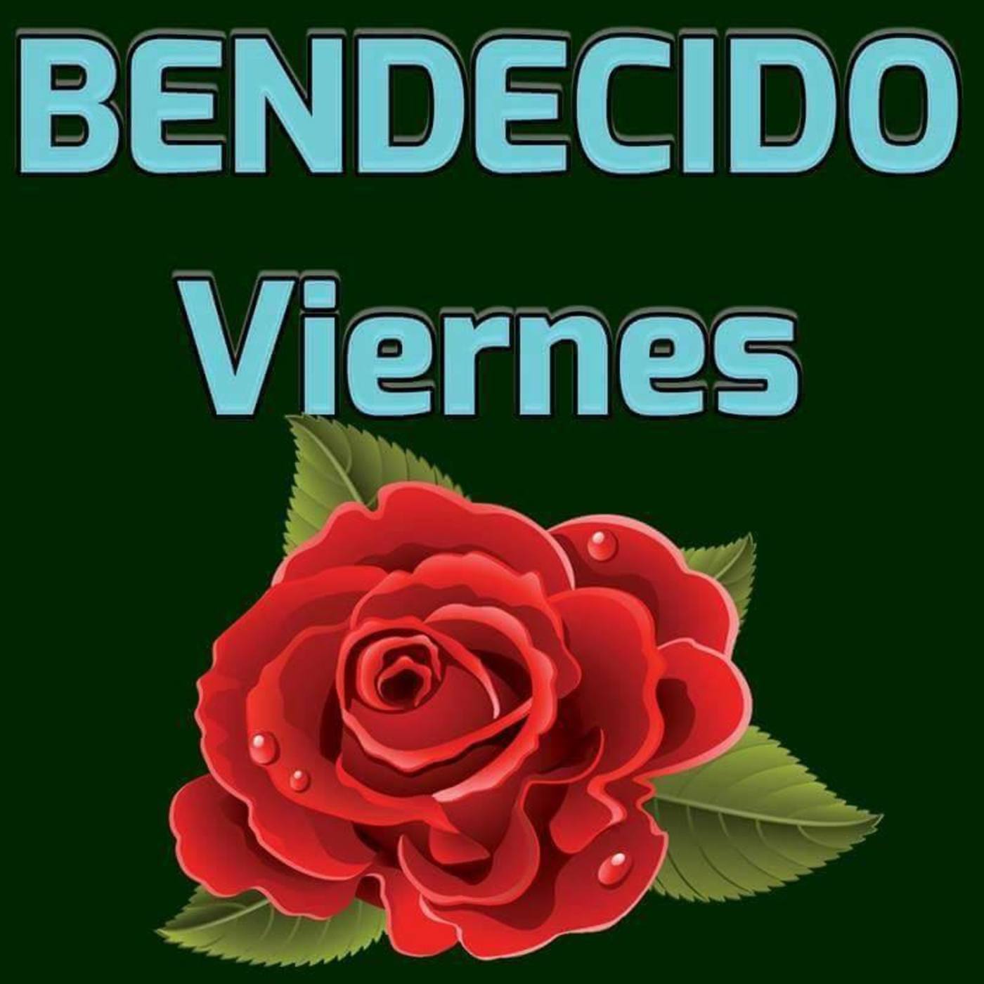 Bendecido Viernes 319