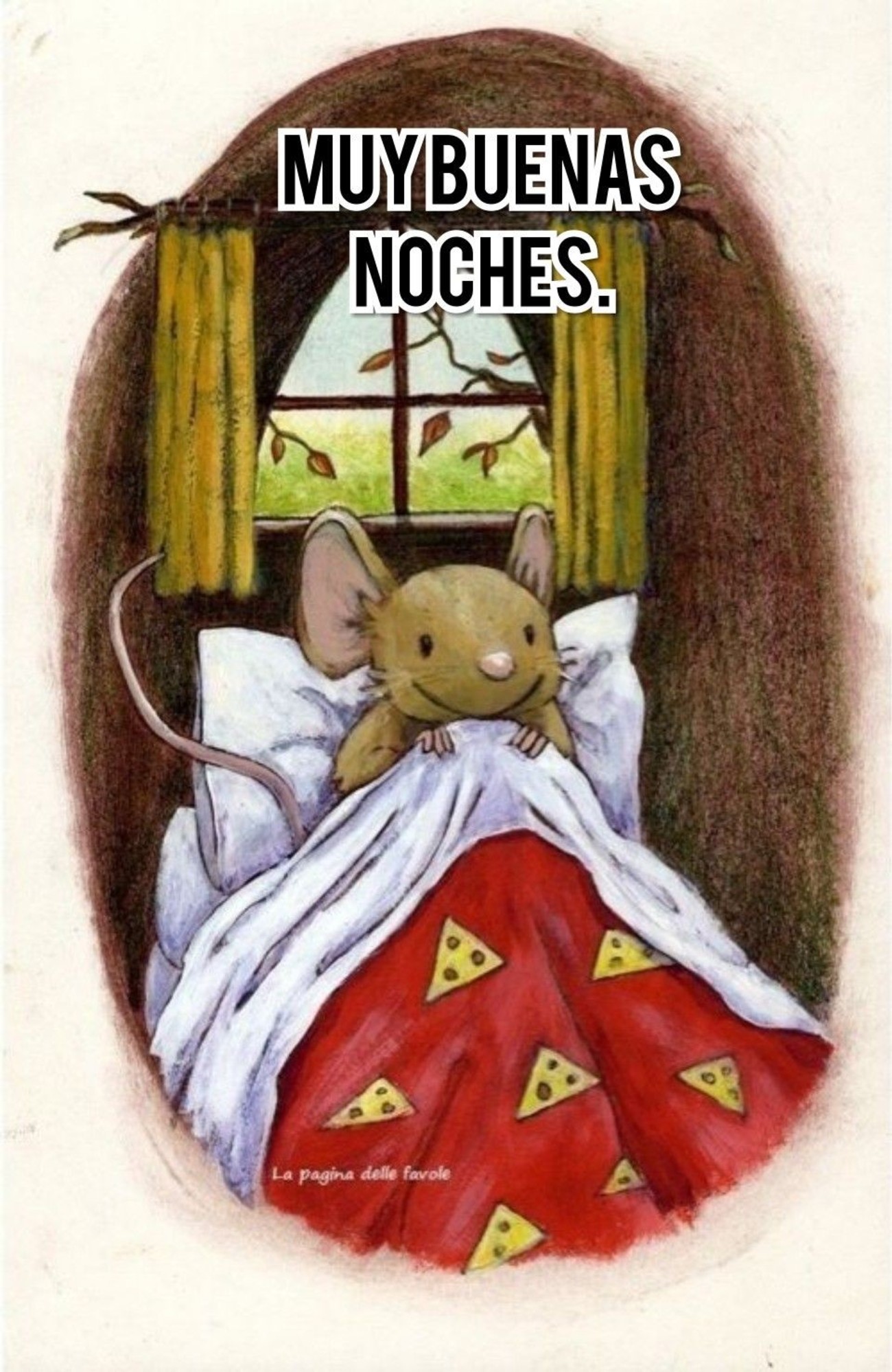 Bonita Noche 141