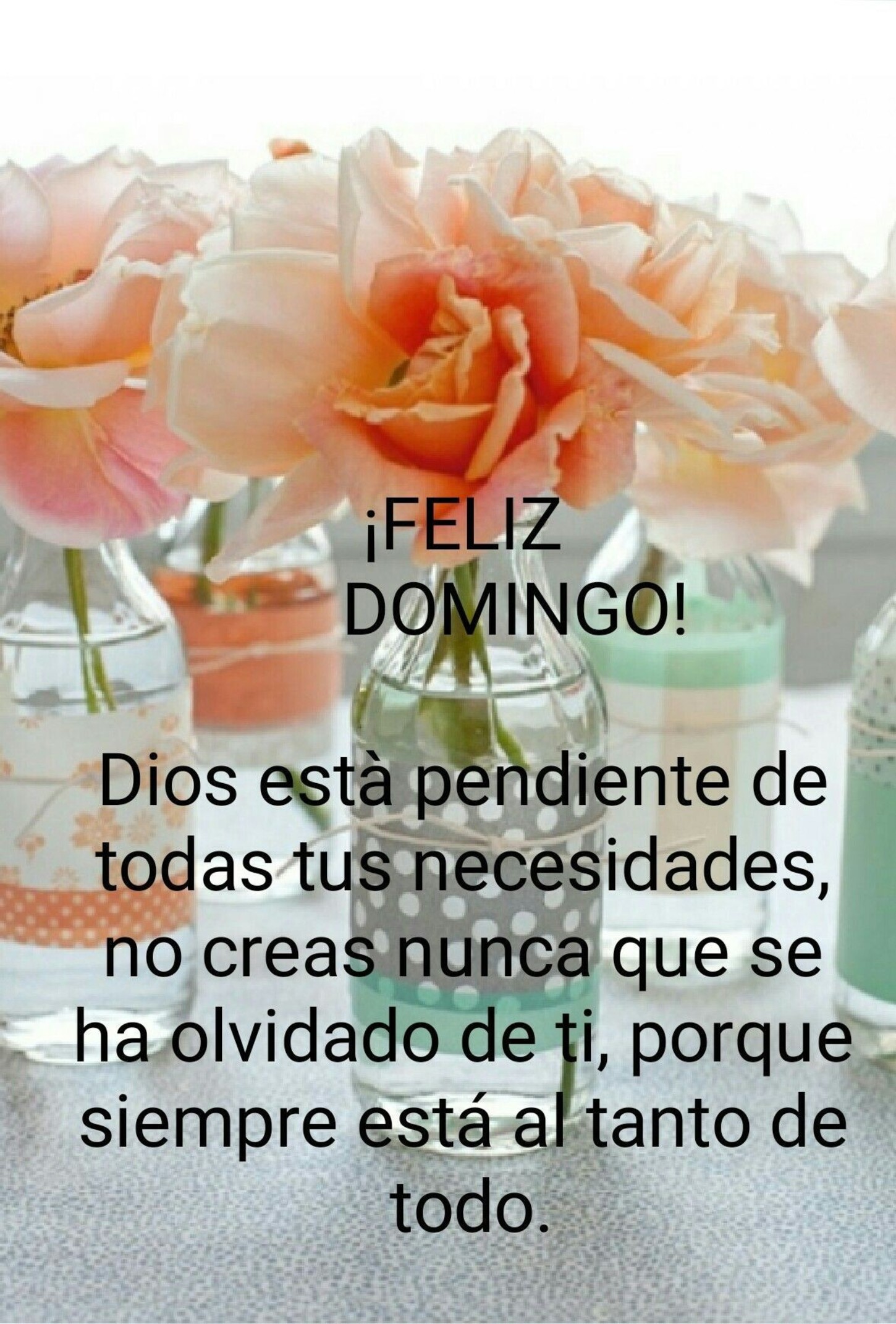 Buen Día Feliz Domingo imágenes 