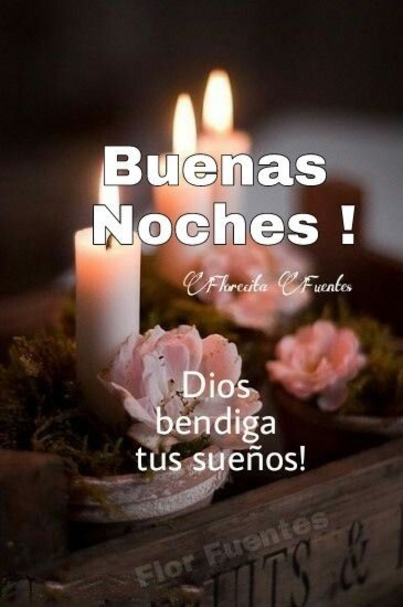 Buena Noche 116