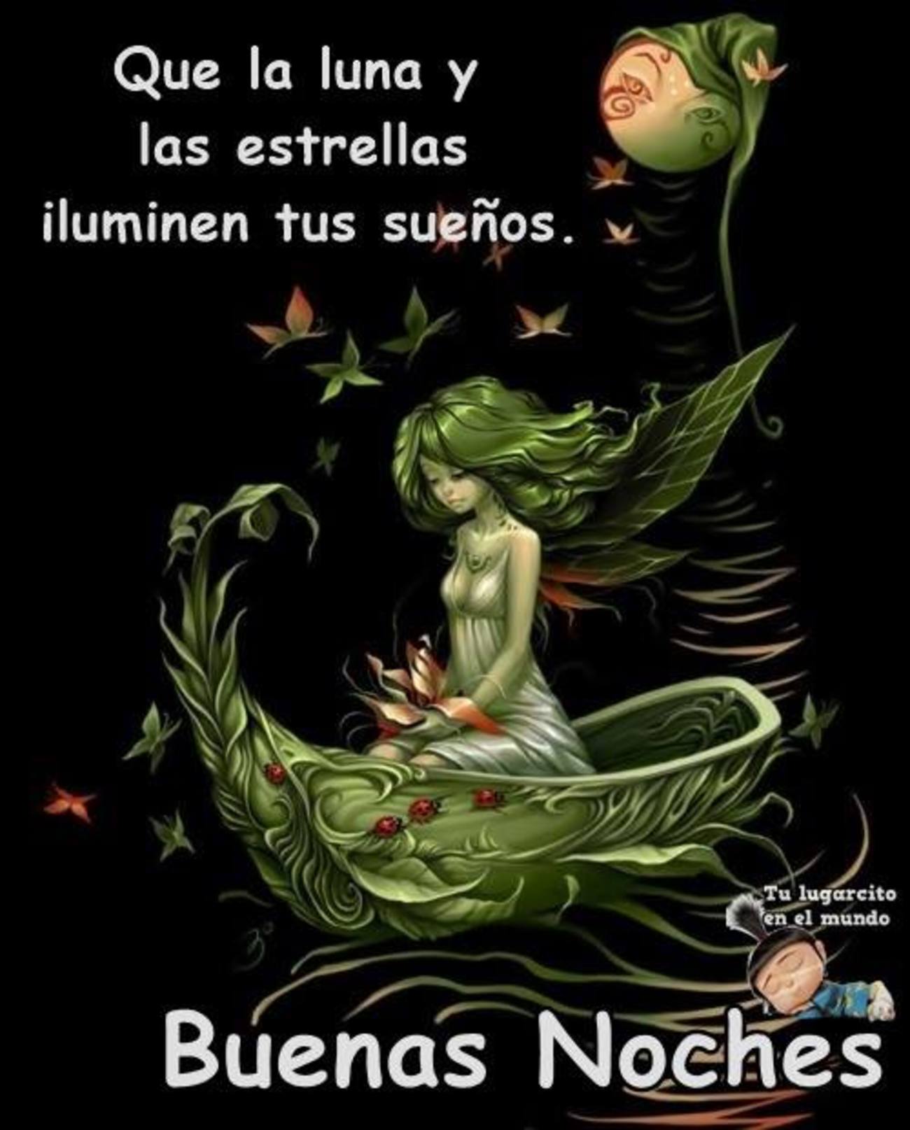 Buenas Noches Google Buenas Noches Google