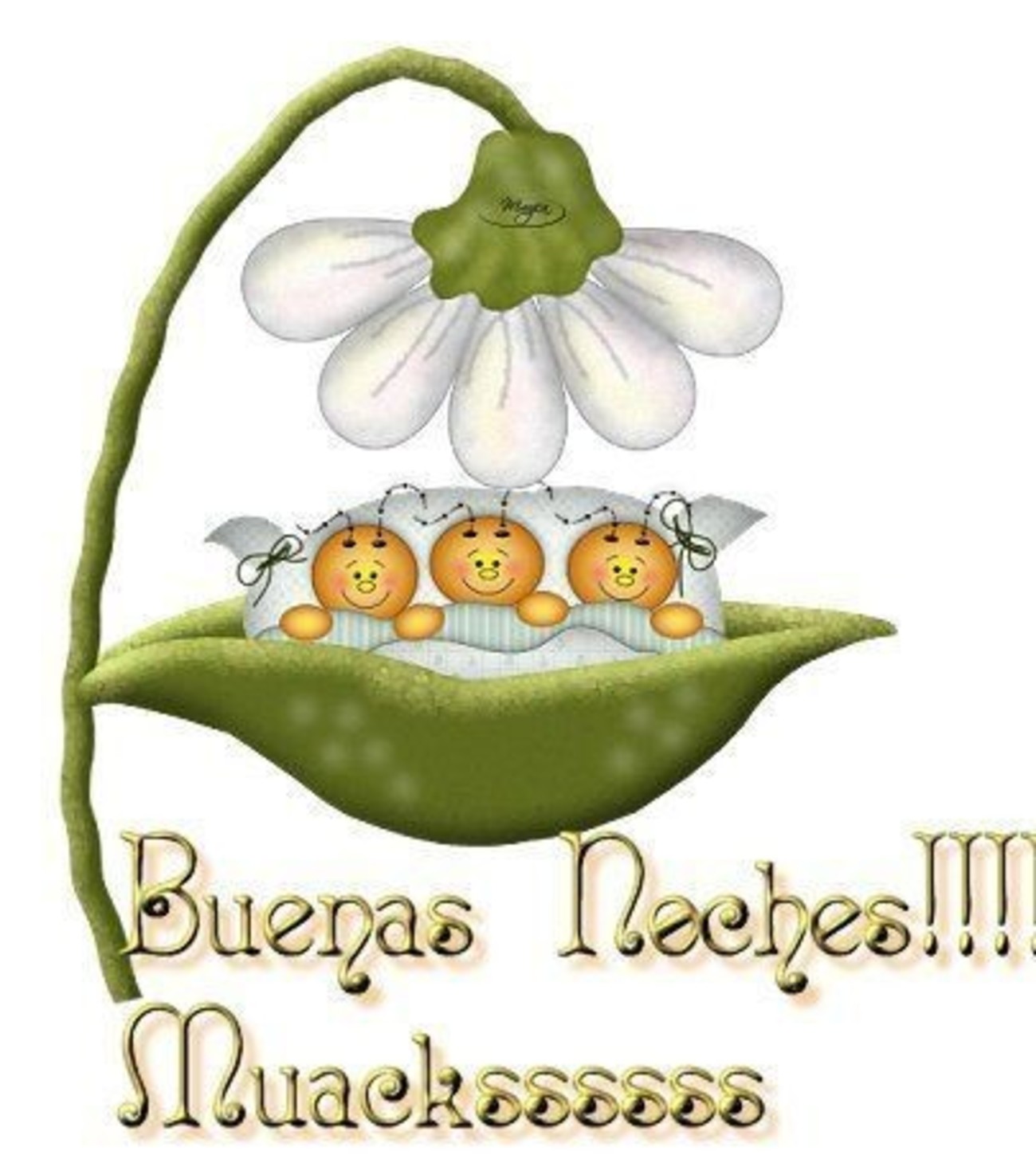 Buenas Noches a todos Buenas Noches a todos