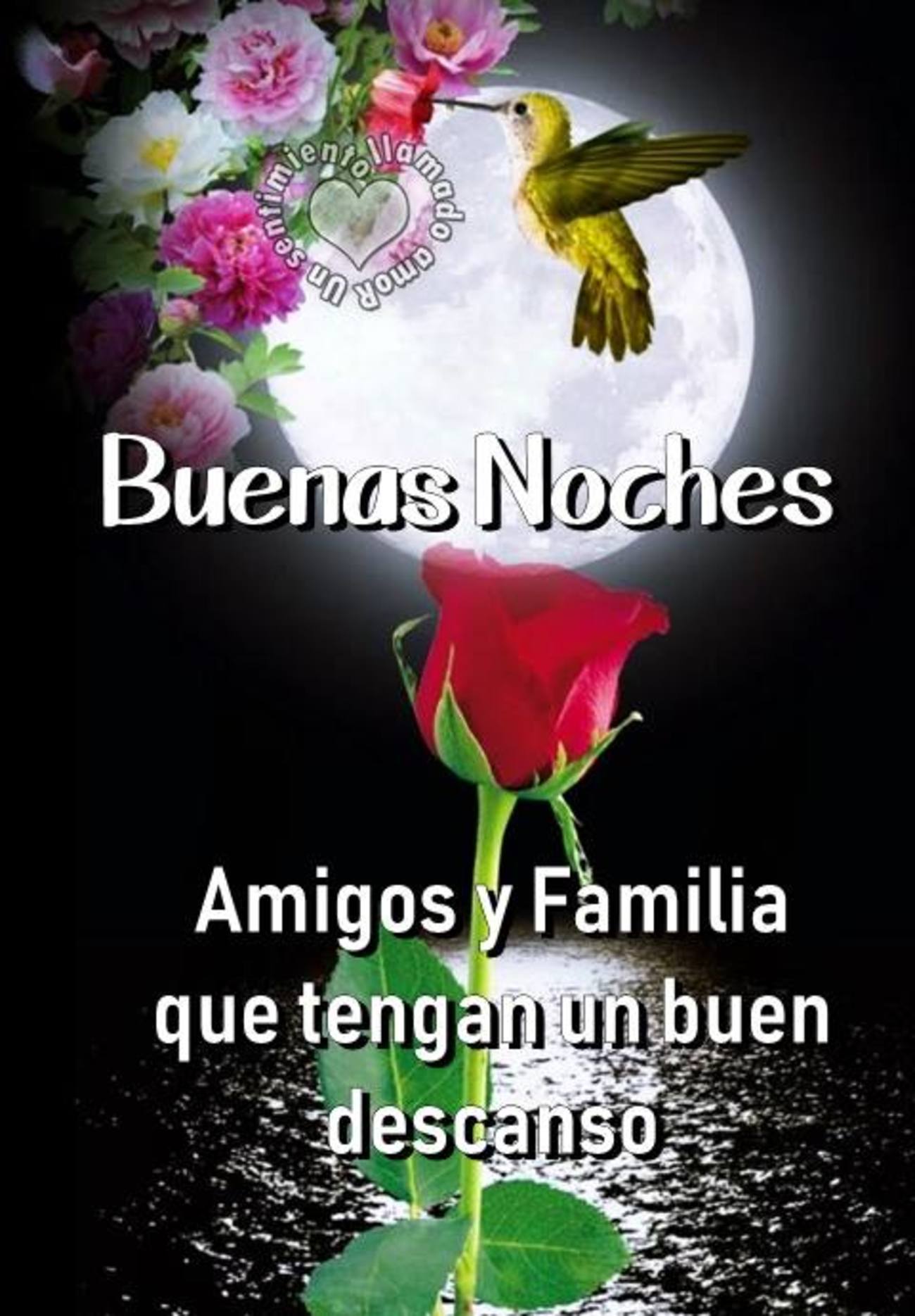 Buenas Noches amigos y familia 343