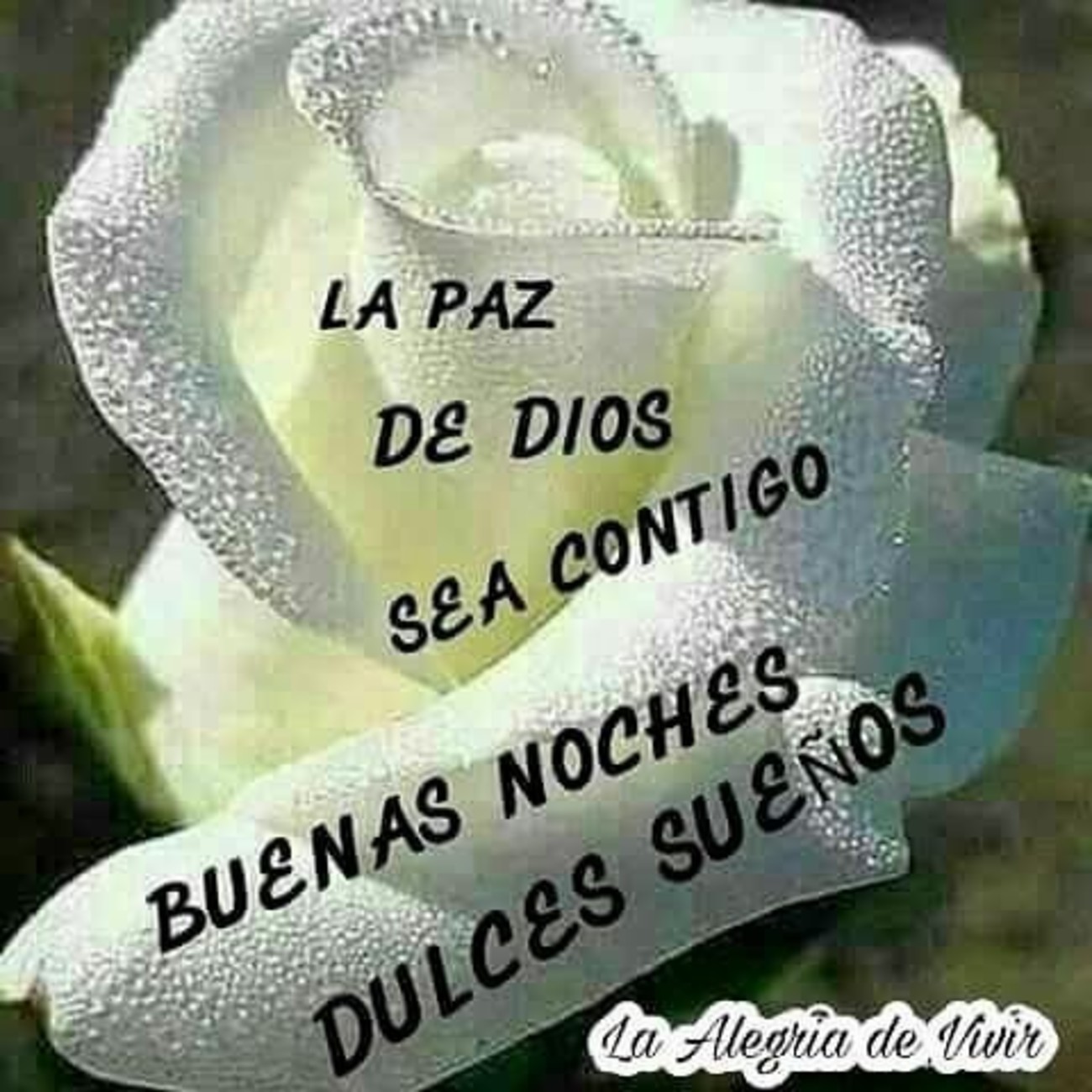 Buenas Noches dulces sueños 1