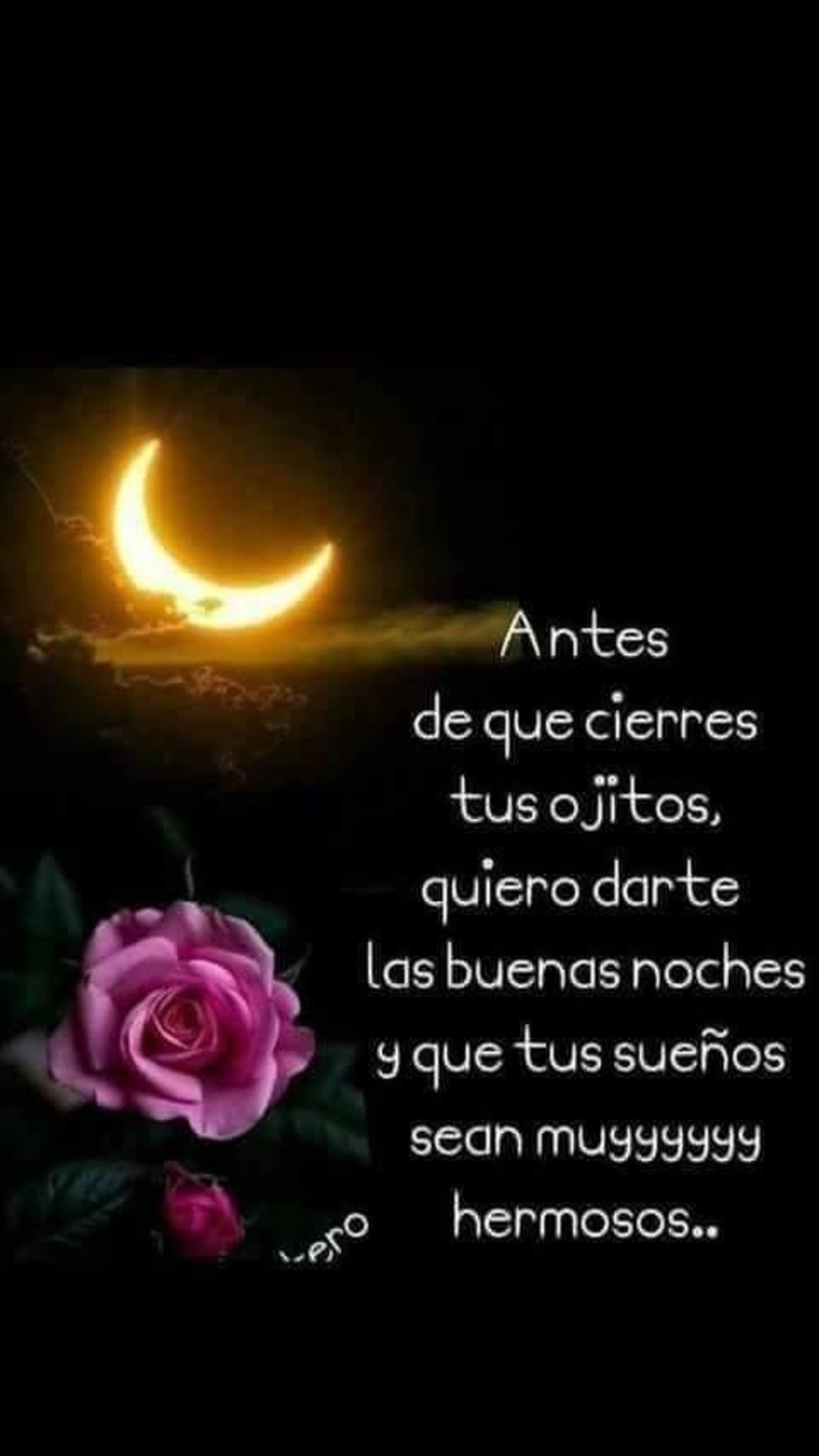 Buenas Noches especiales 428