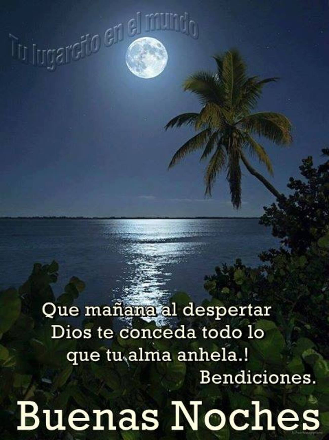 Buenas Noches frases 297