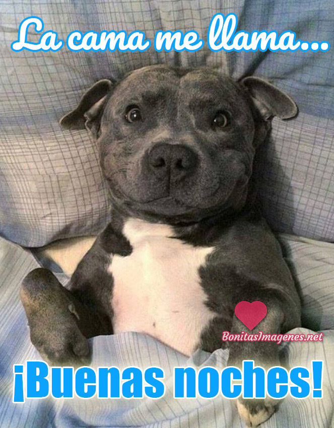 Buenas Noches imágenes y fotos nuevas Buenas Noches imágenes y fotos nuevas