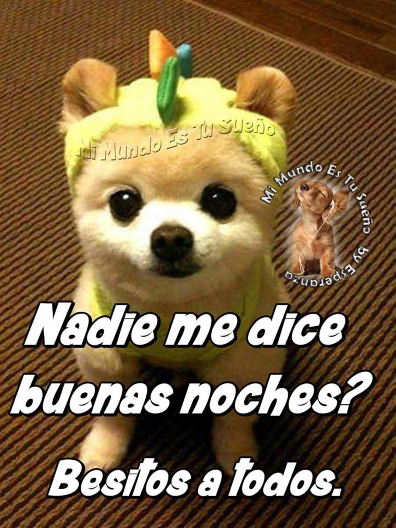 Buenas Noches imágenes chistosas 467