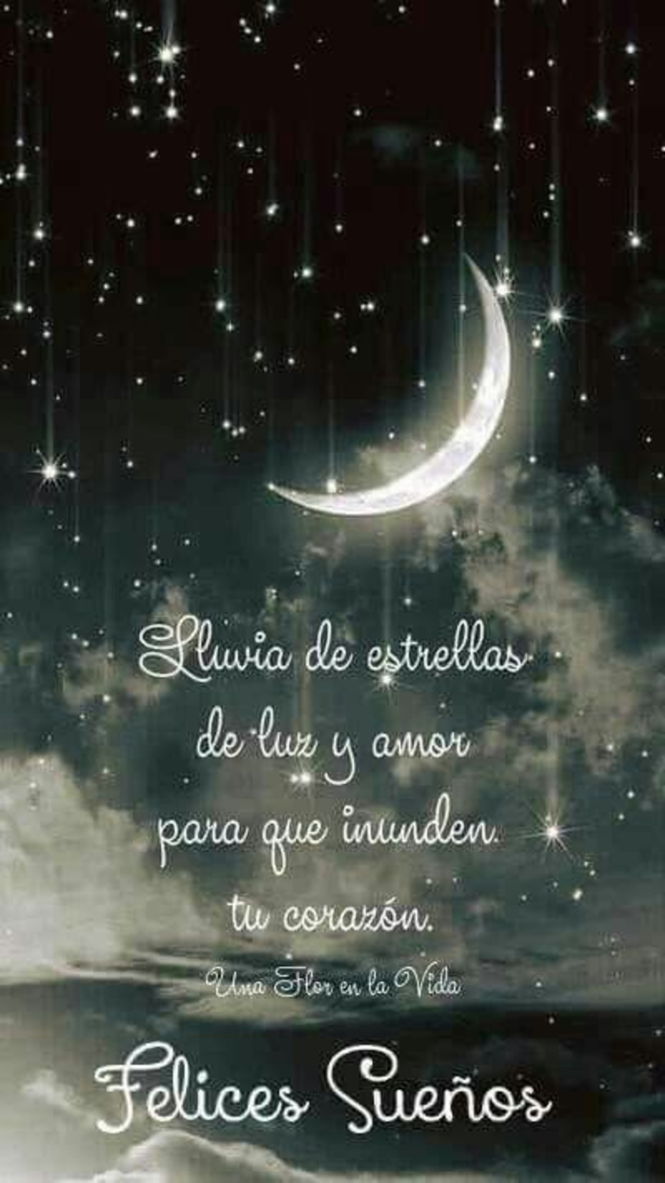 Buenas Noches imágenes para compartir 246