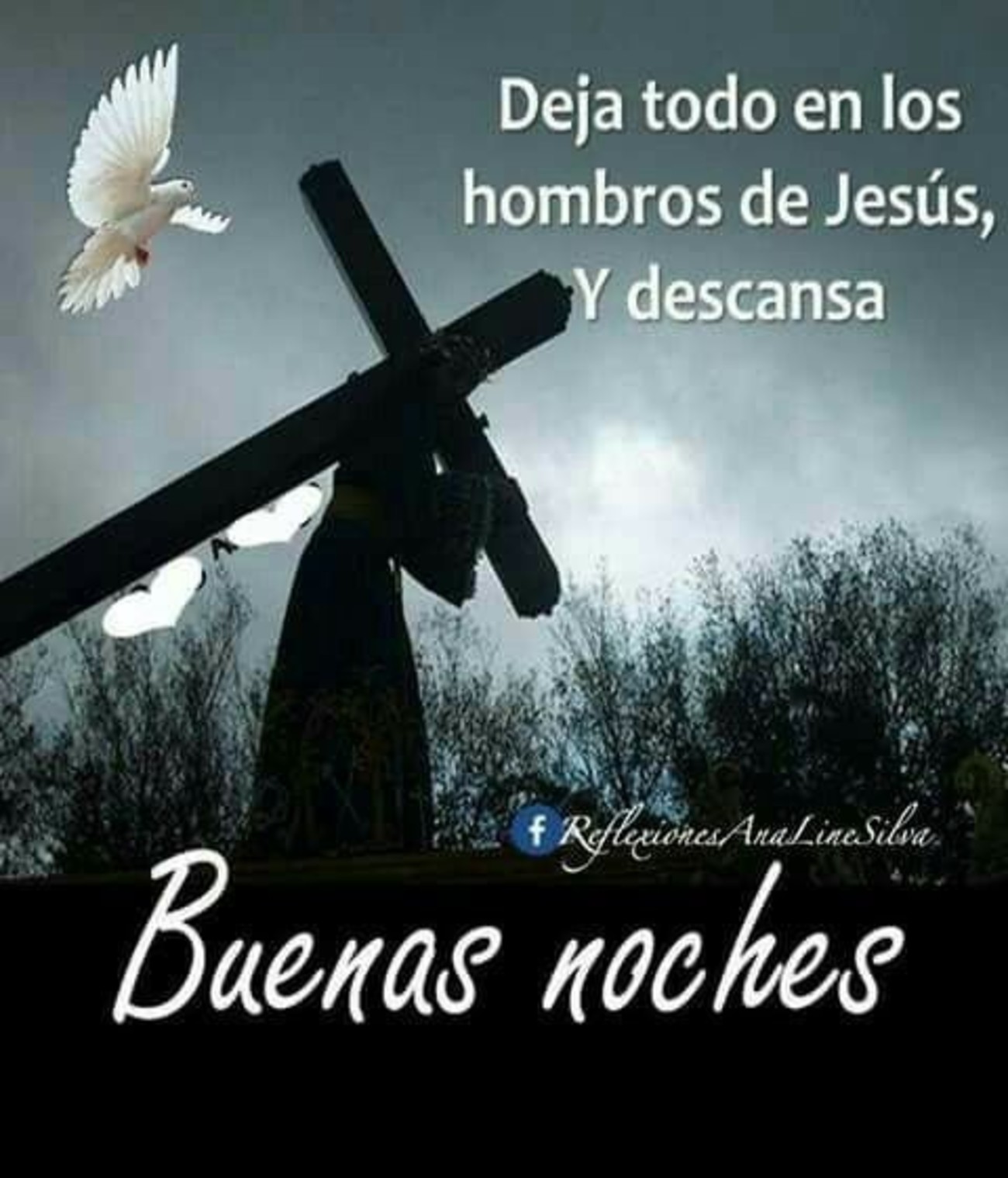 Buenas Noches mensajes WhatsApp Buenas Noches mensajes WhatsApp
