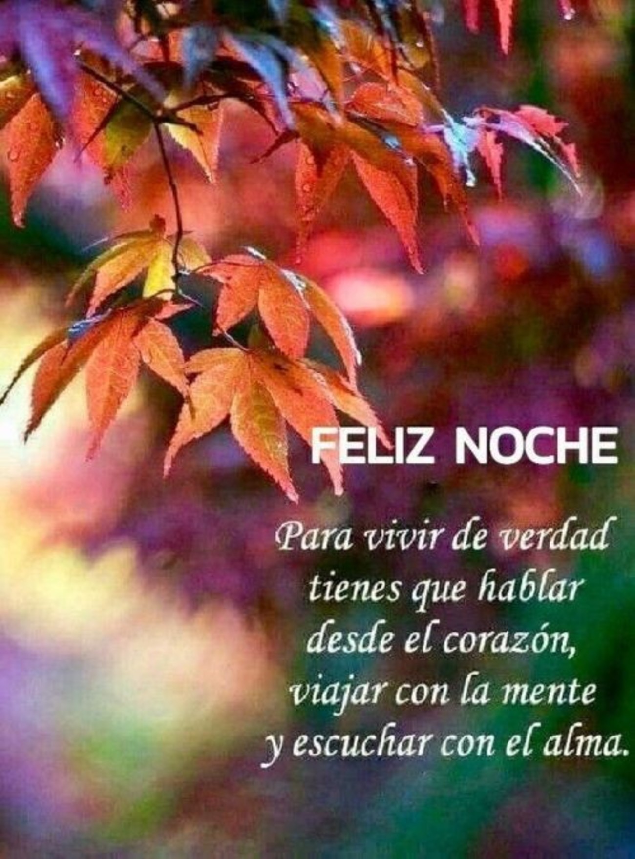 Buenas Noches otoño Buenas Noches otoño