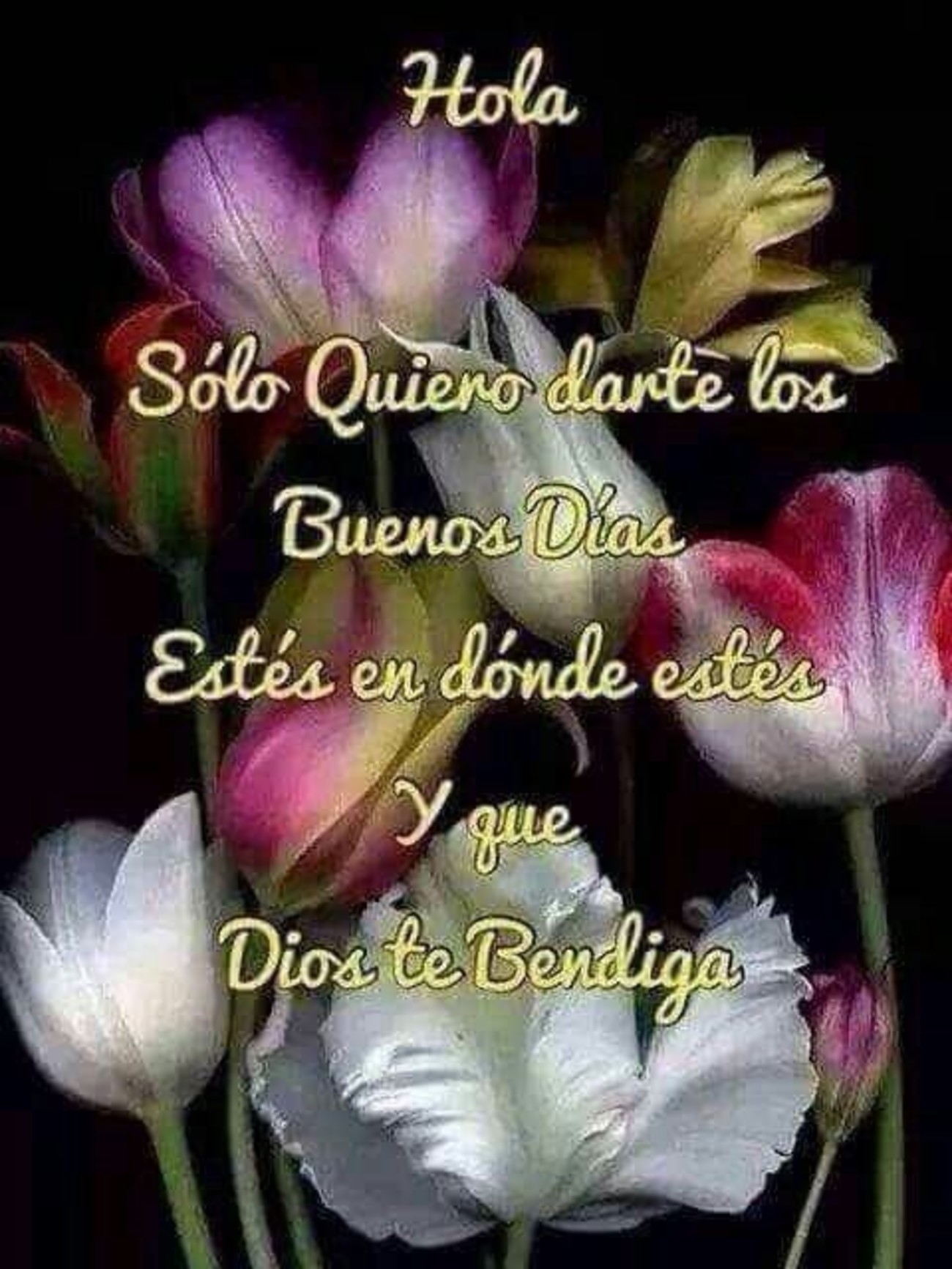 Buenos Días Dios te Bendiga Buenos Días Dios te Bendiga