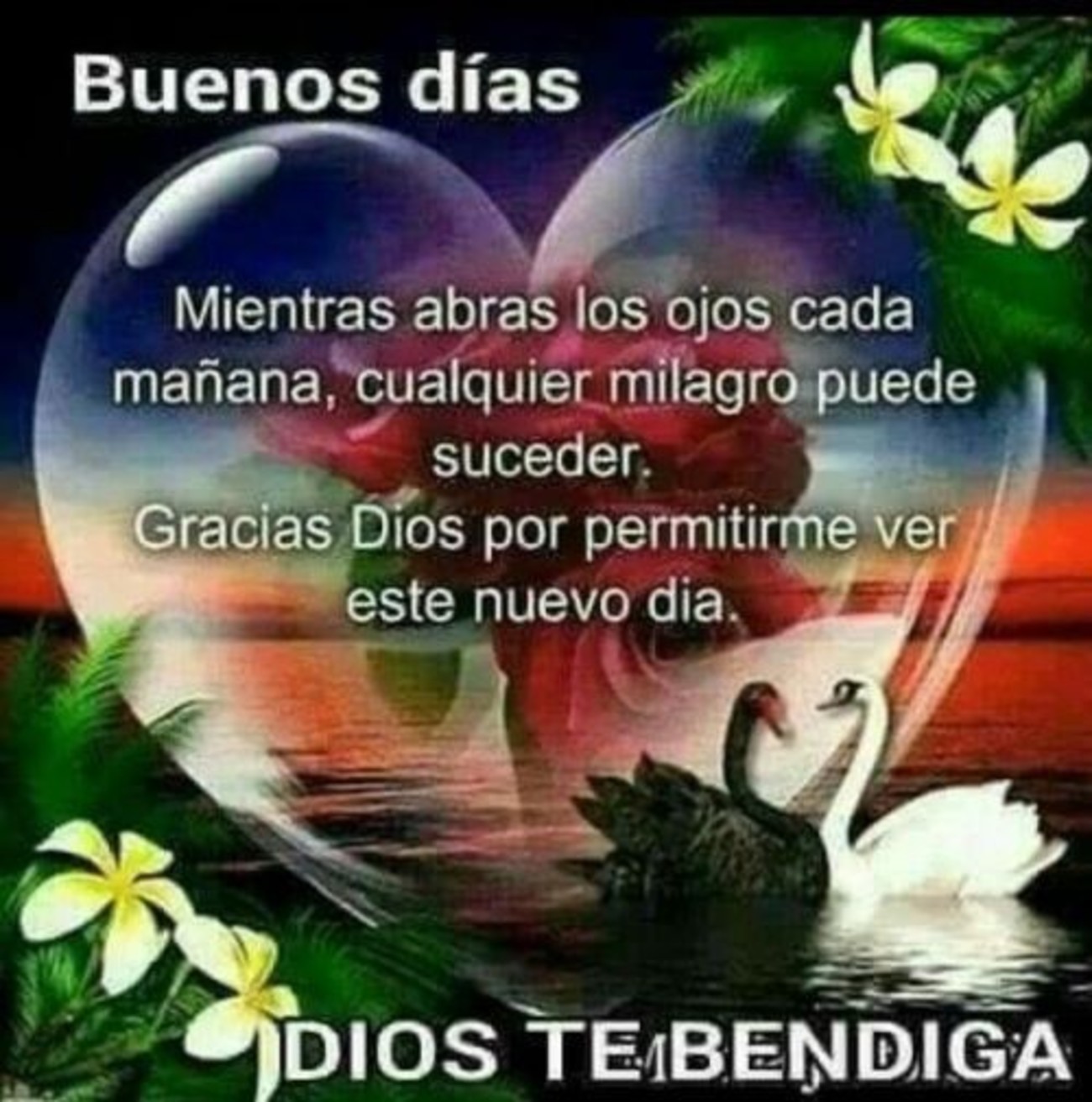 Buenos Días Dios te Bendiga 9 