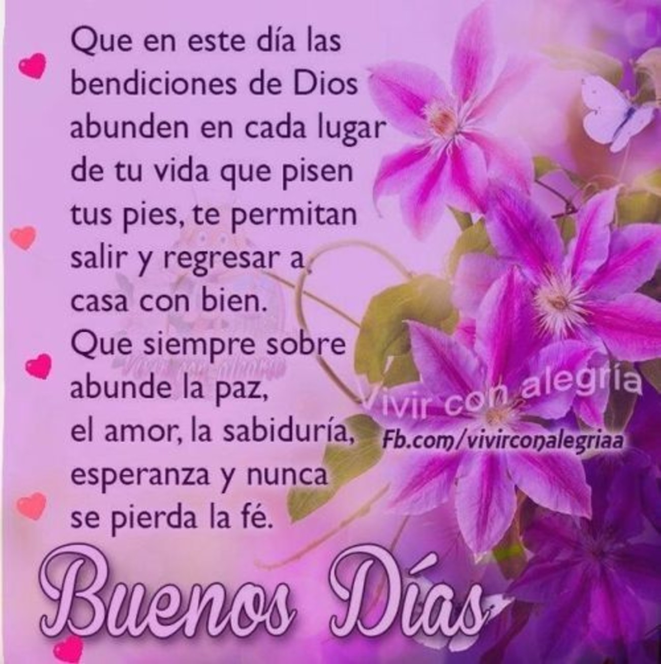 Buenos Días imágenes con flores 322 - BonitasImagenes.net