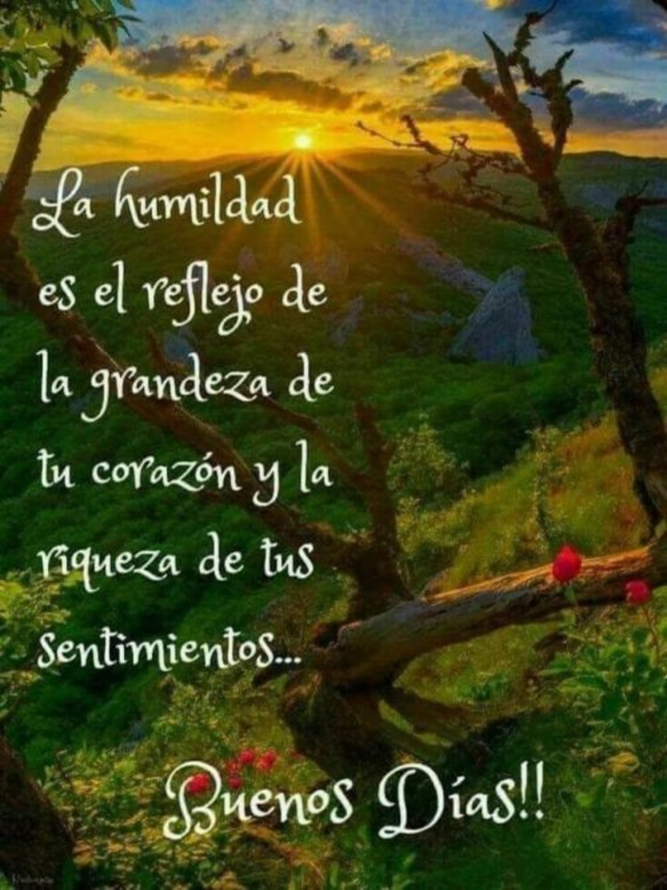 Buenos Días imágenes con paisajes Buenos Días imágenes con paisajes