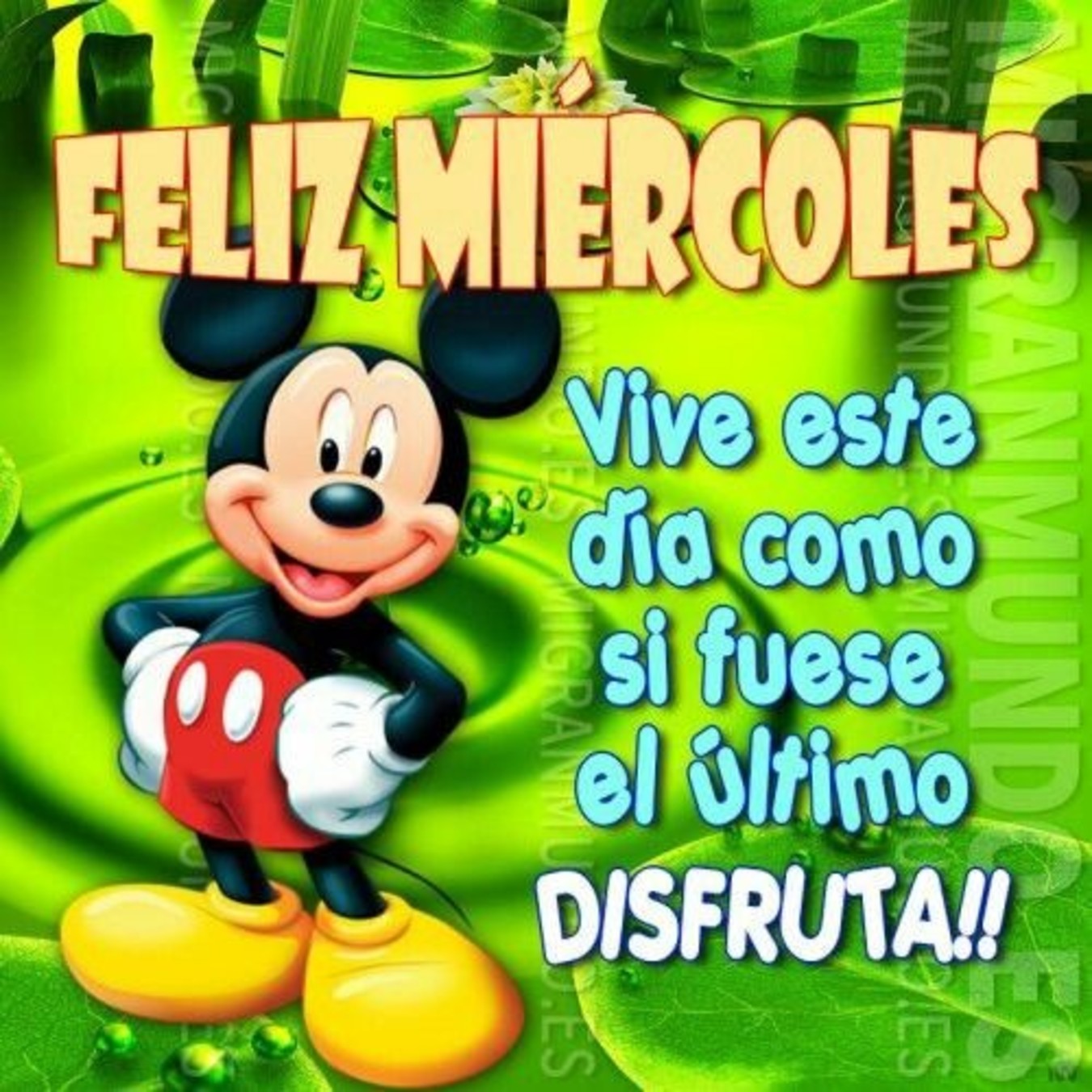 Buenos Días Feliz Miércoles Disney 51