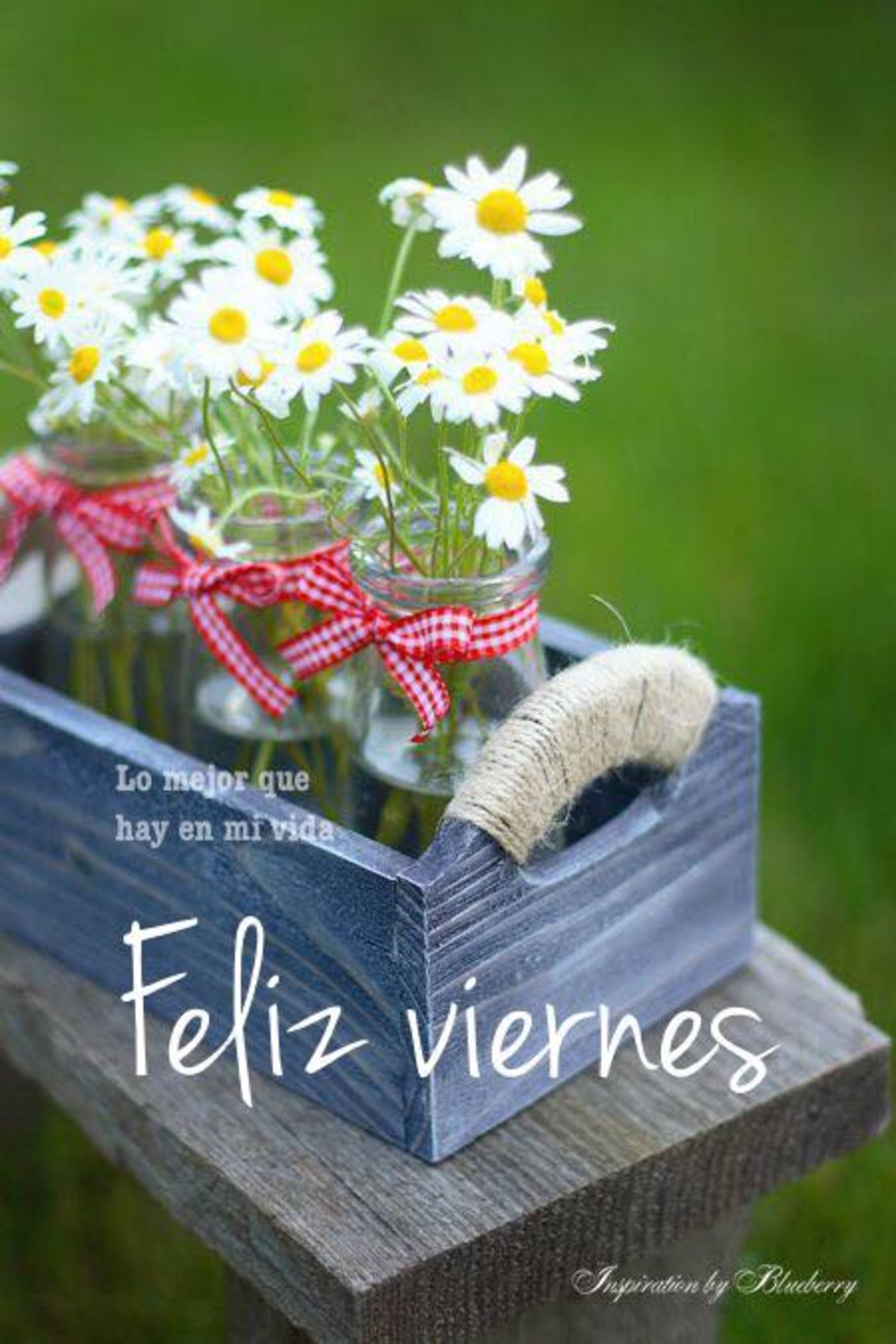 Buenos Dias Viernes En 2021 Imagenes De Feliz Viernes 4c1 