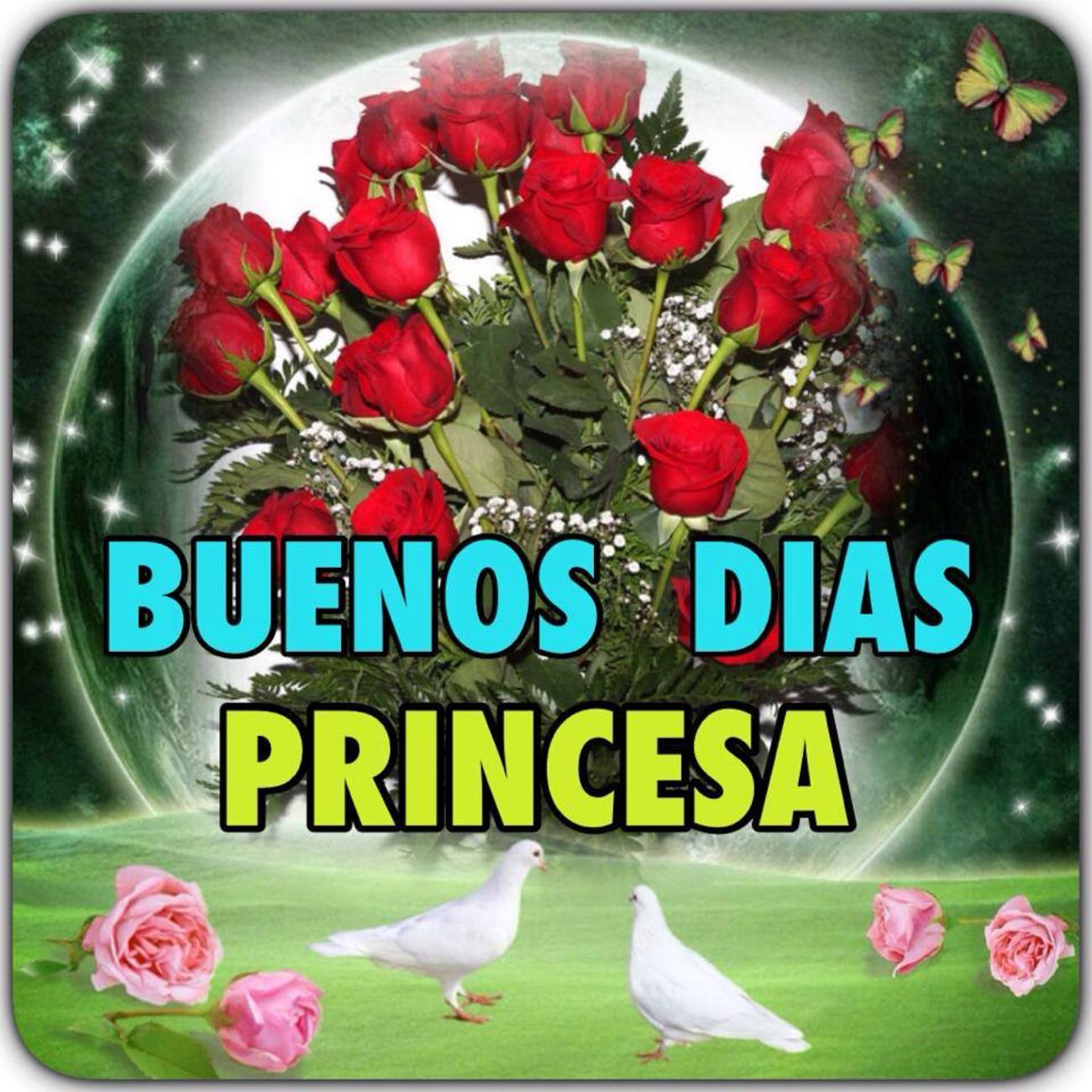 Buenos Días Princesa 120 