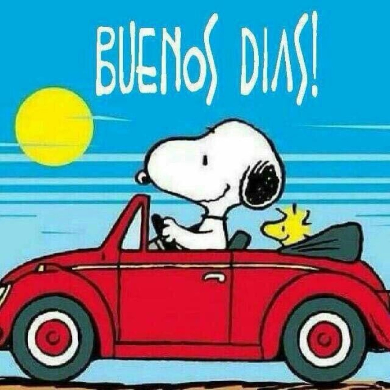 Buenos Días Snoopy 98