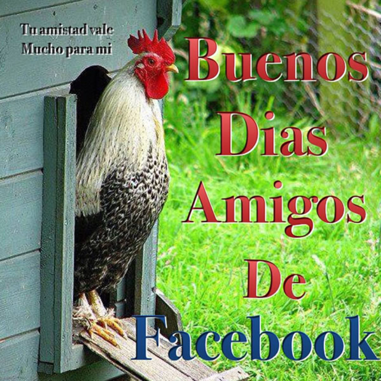 Buenos Días amigos de Facebook 142