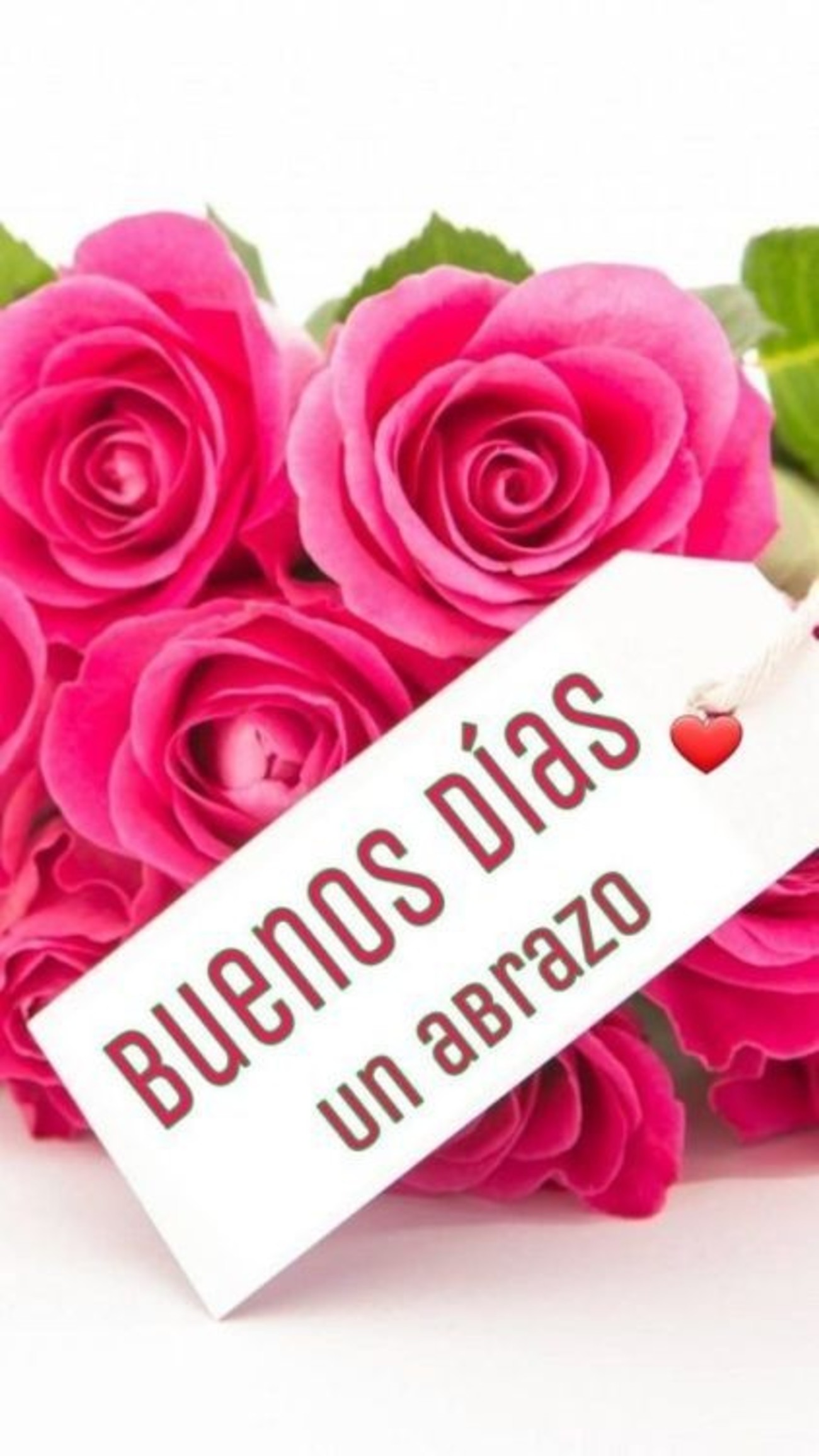 Buenos Días imágenes con flores 265