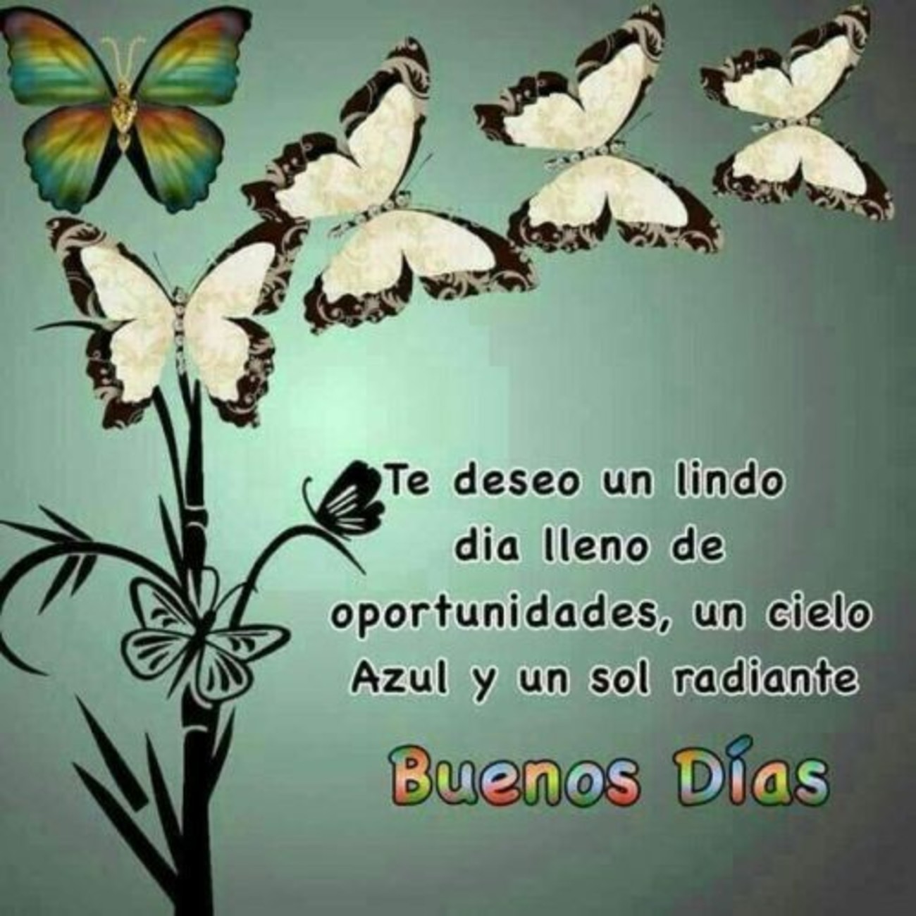 Buenos Días imágenes con mariposas 240