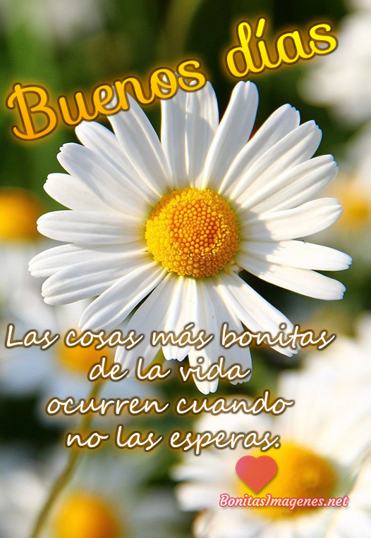 Buenos días bellas imágenes con frases