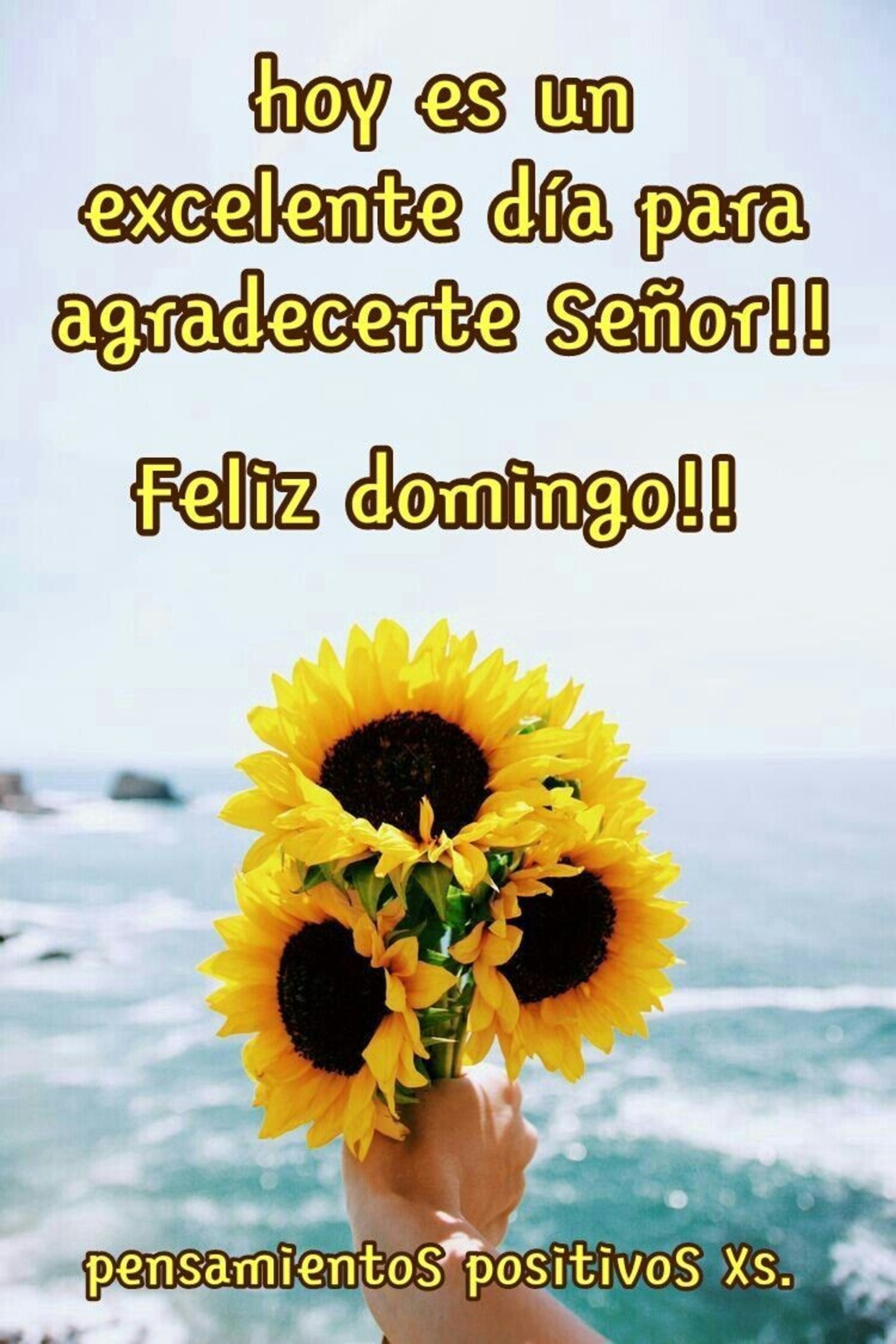 Feliz Domingo 120