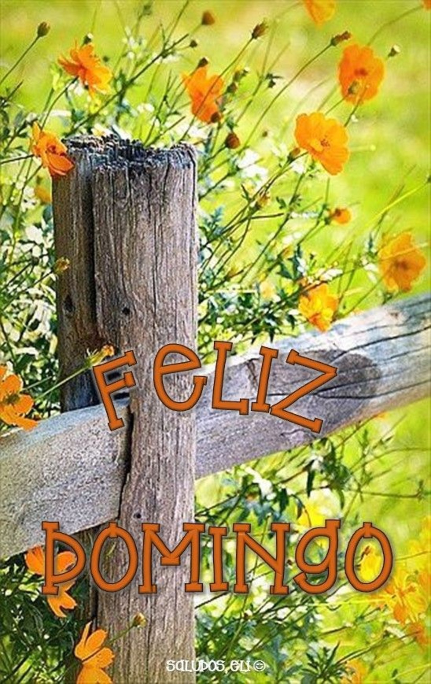 Feliz Domingo 122