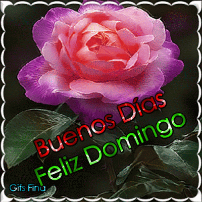  Feliz Domingo GIF 4 - BonitasImagenes.net