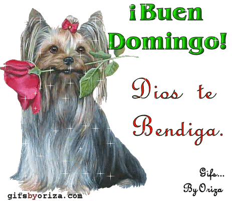 Feliz Domingo GIF 53