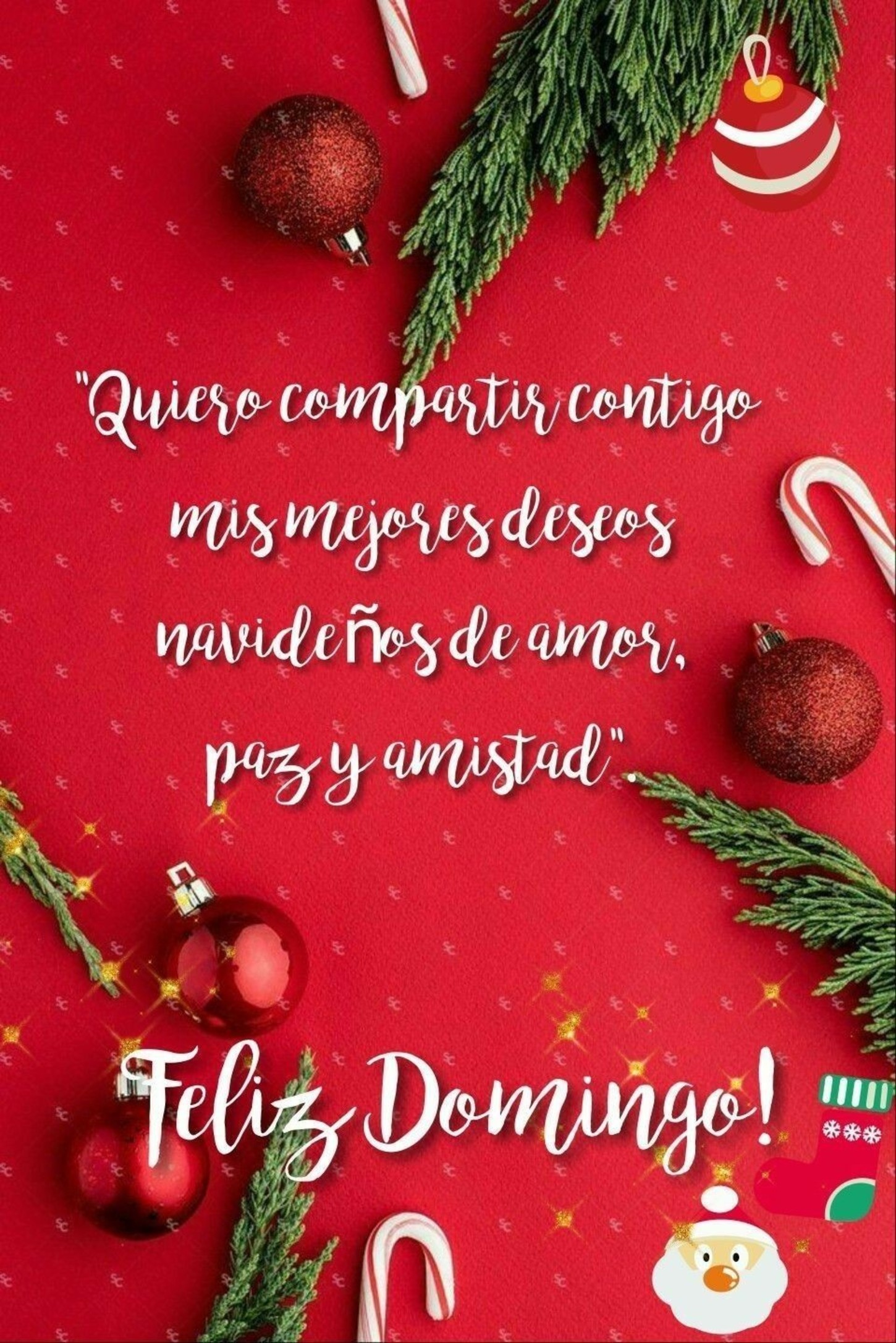 Feliz Domingo Navidad 127