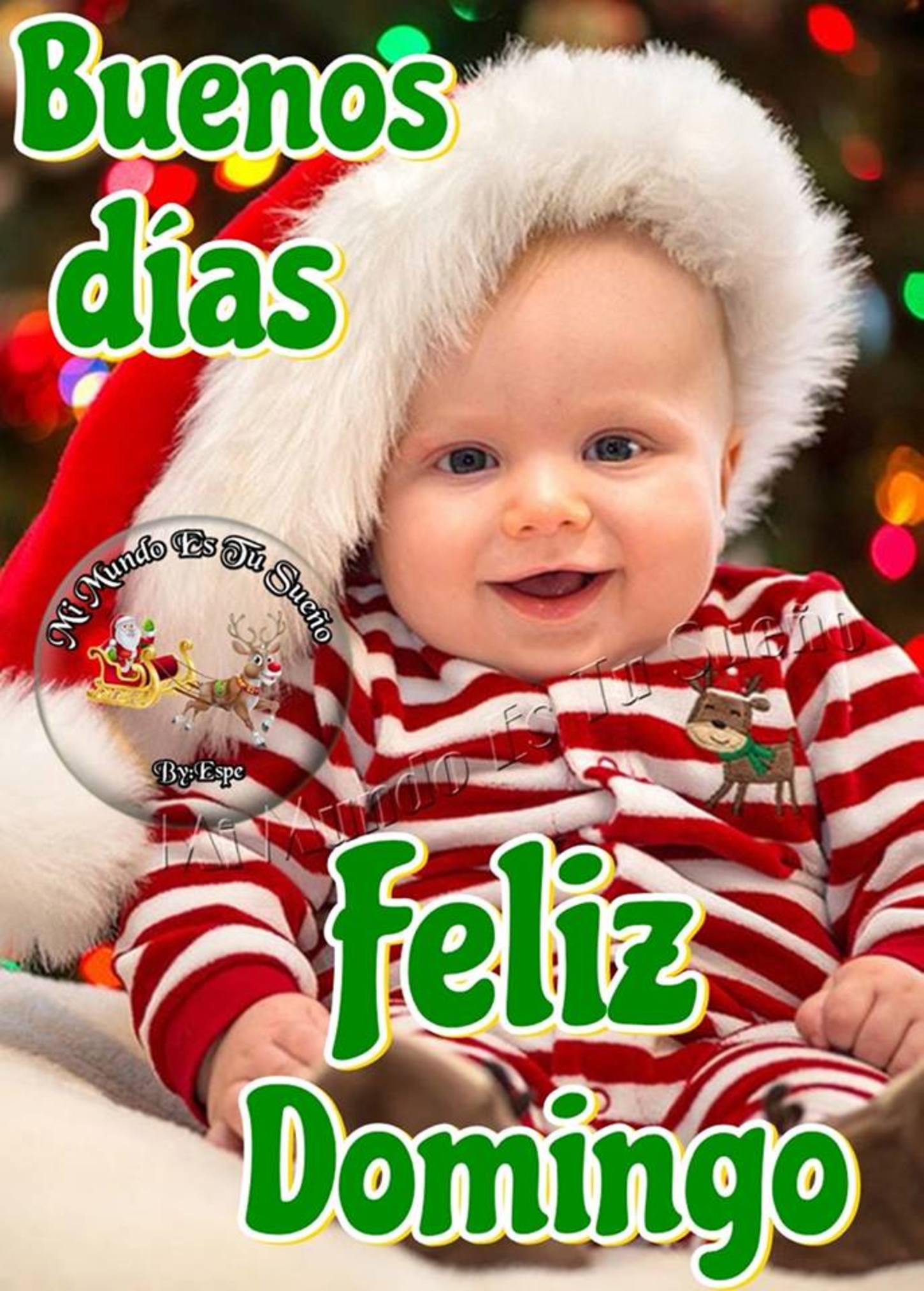 Feliz Domingo Navidad 150