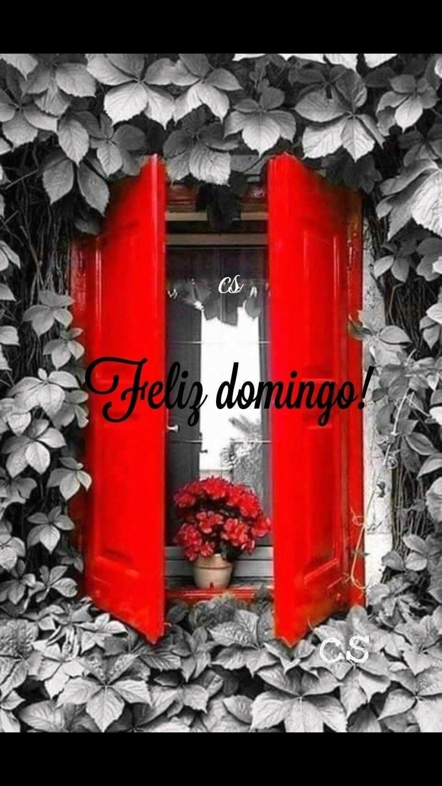 Feliz Domingo Pinterest 318