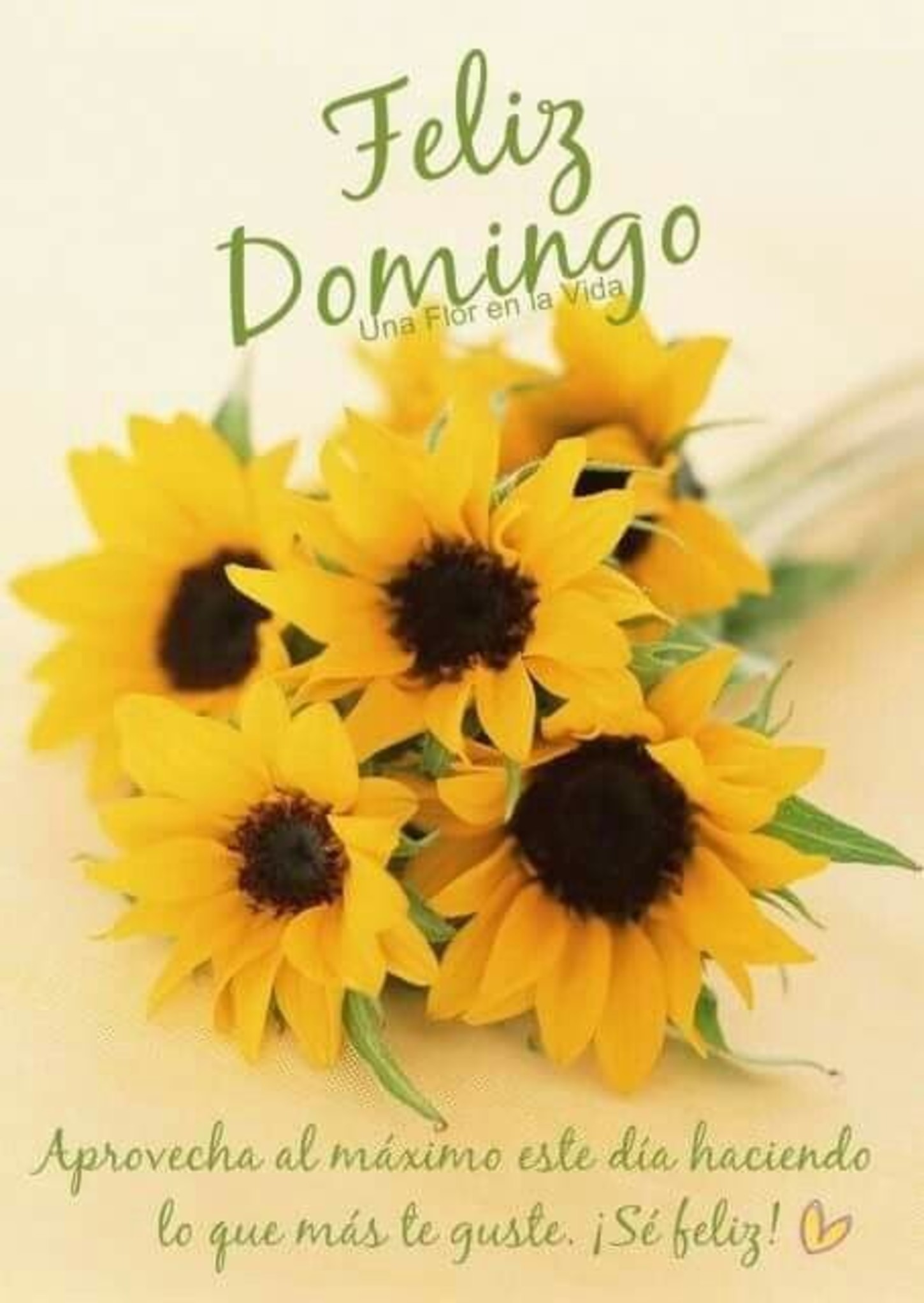 Feliz Domingo Pinterest 323