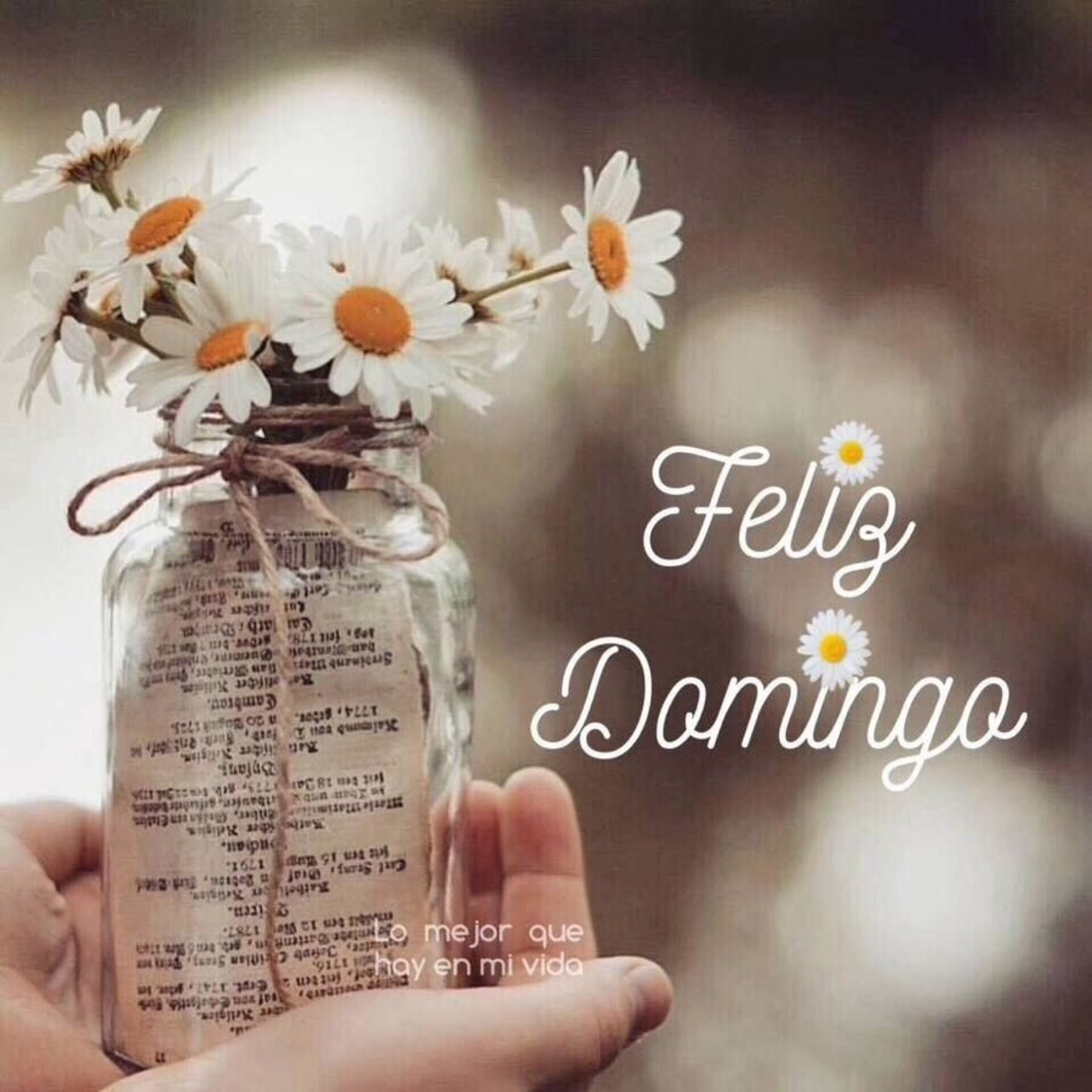 Feliz Domingo Pinterest 328