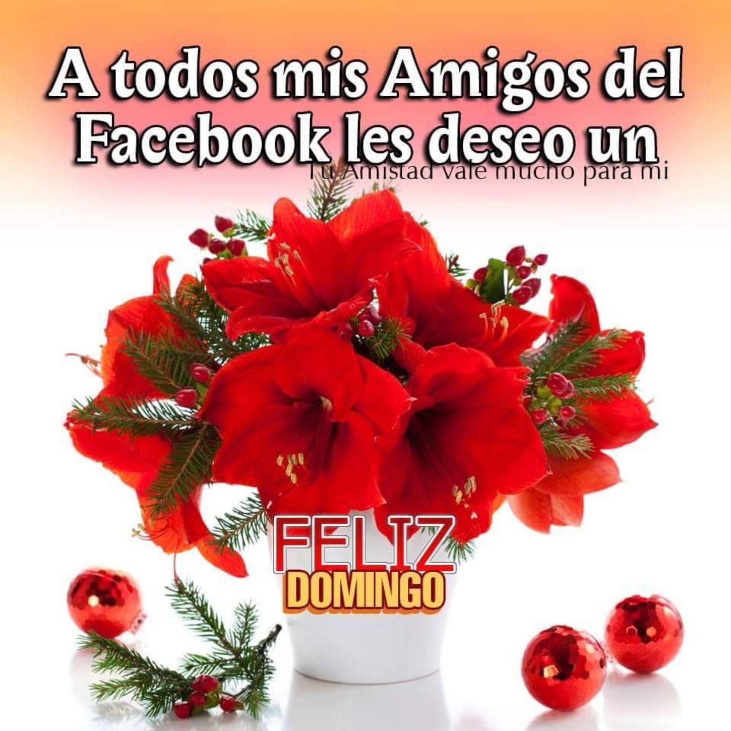 Feliz Domingo a todos mis amigos 5