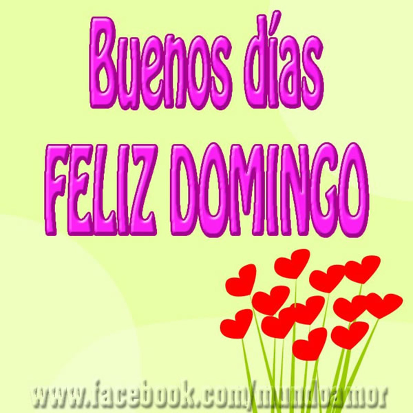 Feliz Domingo bonitas imágenes 232