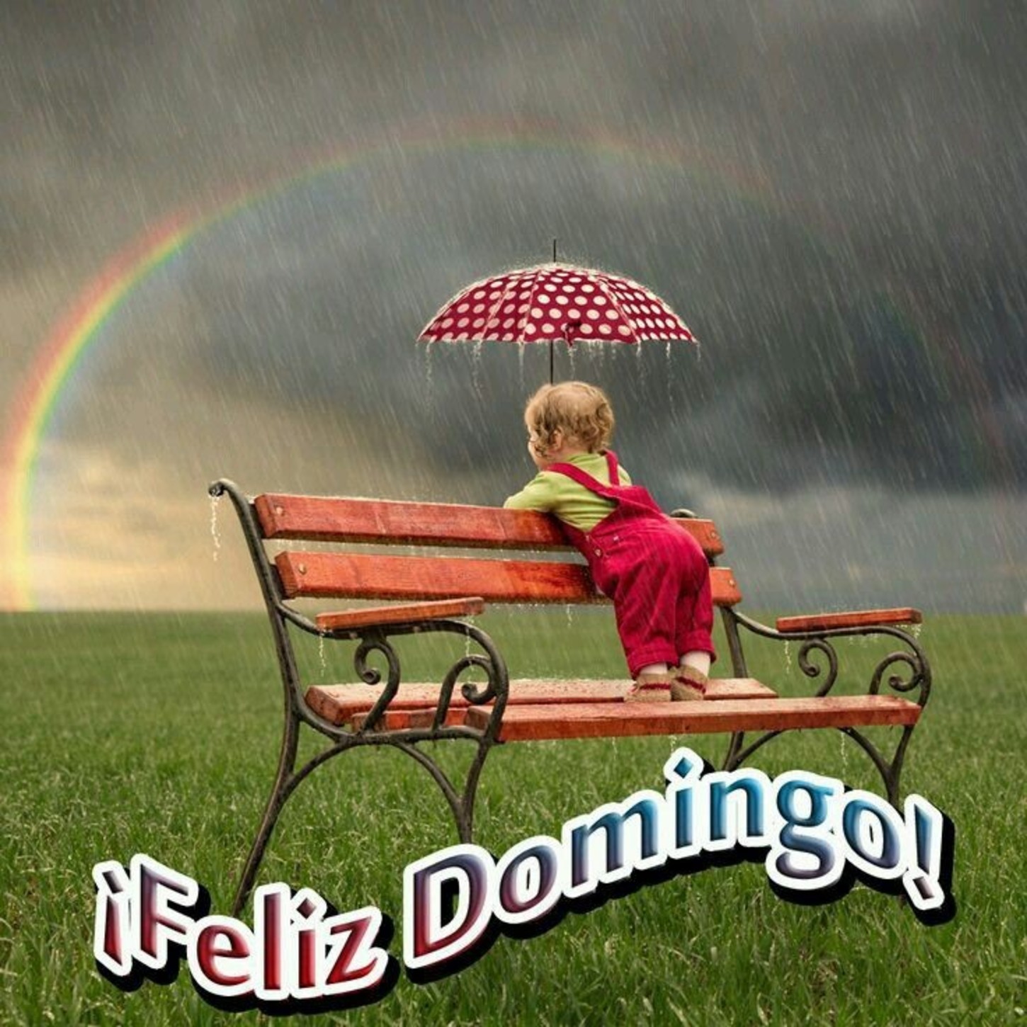 Feliz Domingo con lluvia 286