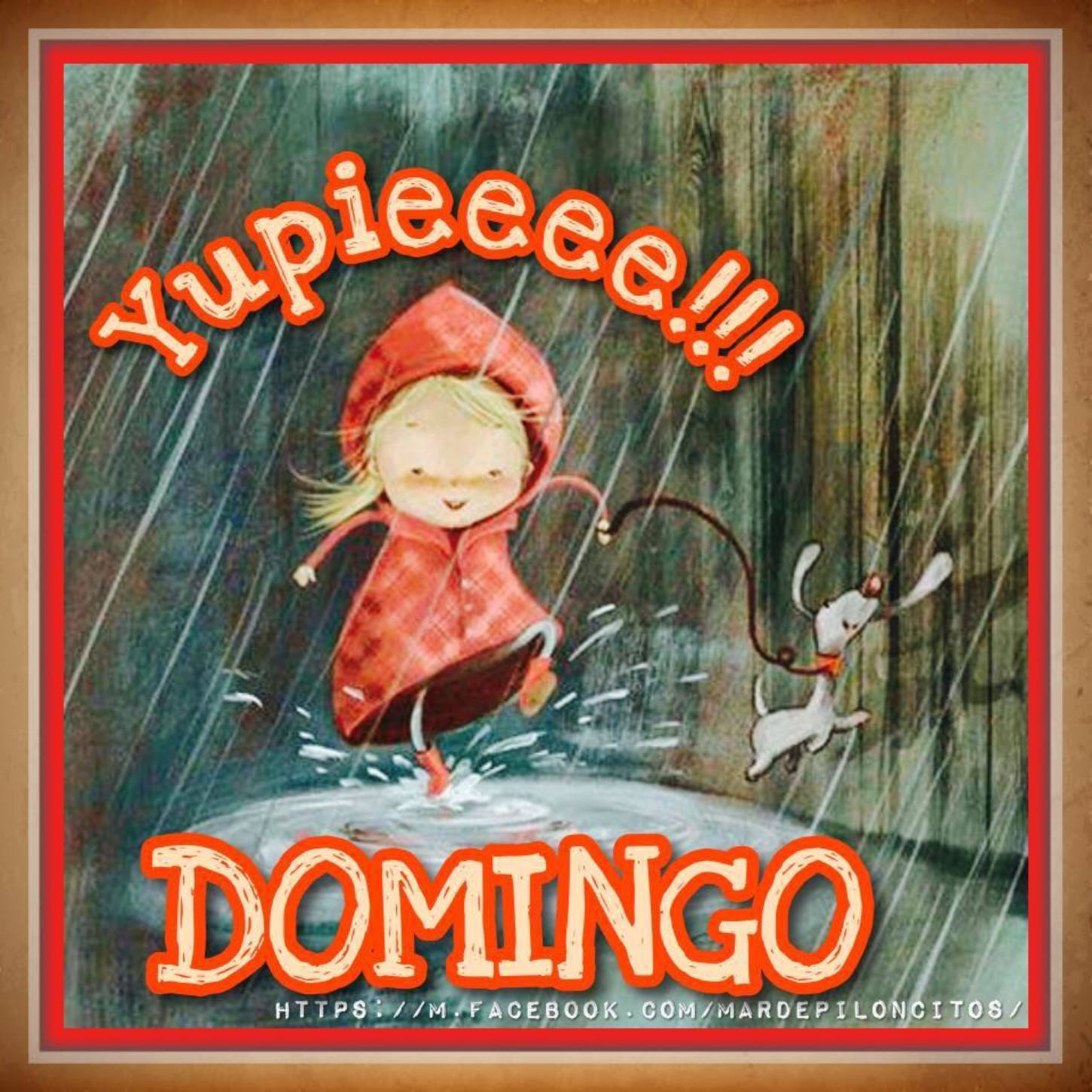 Feliz Domingo con lluvia 320