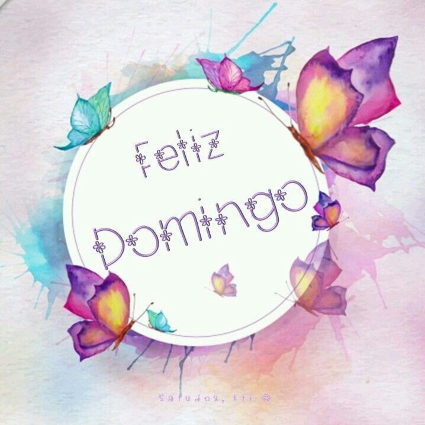 Feliz Domingo con mariposas 1