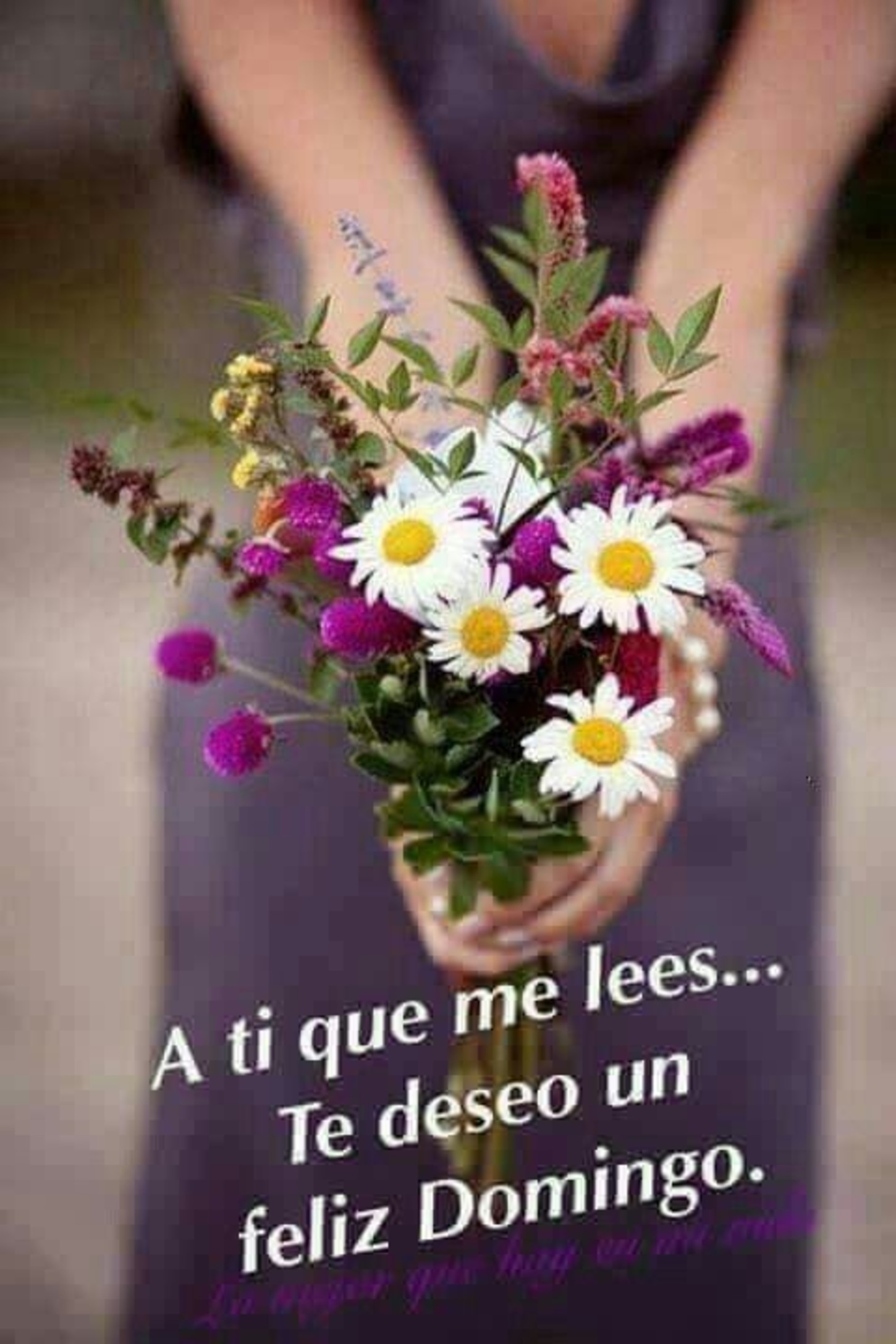 Feliz Domingo Imagenes Y Fotos Para Whatsapp 306 - Bonitasimagenesnet