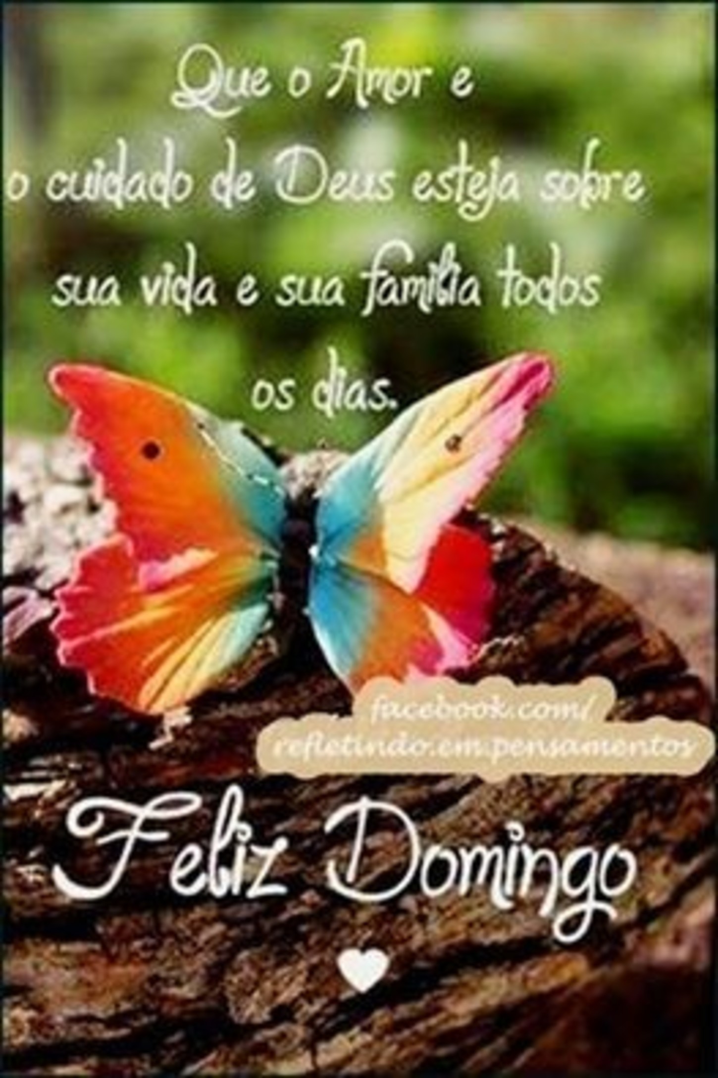 Feliz Domingo Imagenes Y Fotos Para Whatsapp - Bonitasimagenesnet