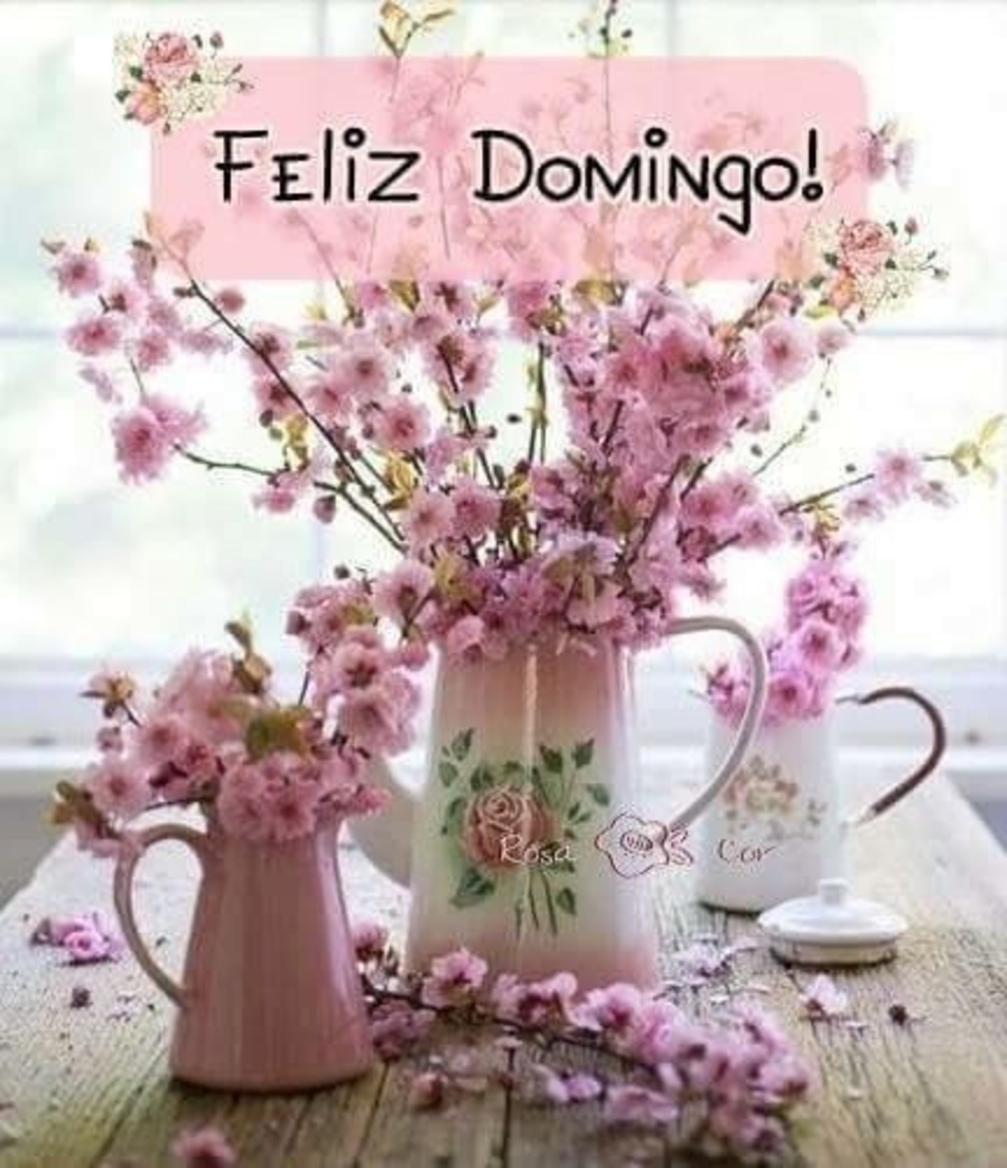 Feliz Domingo imágenes 133