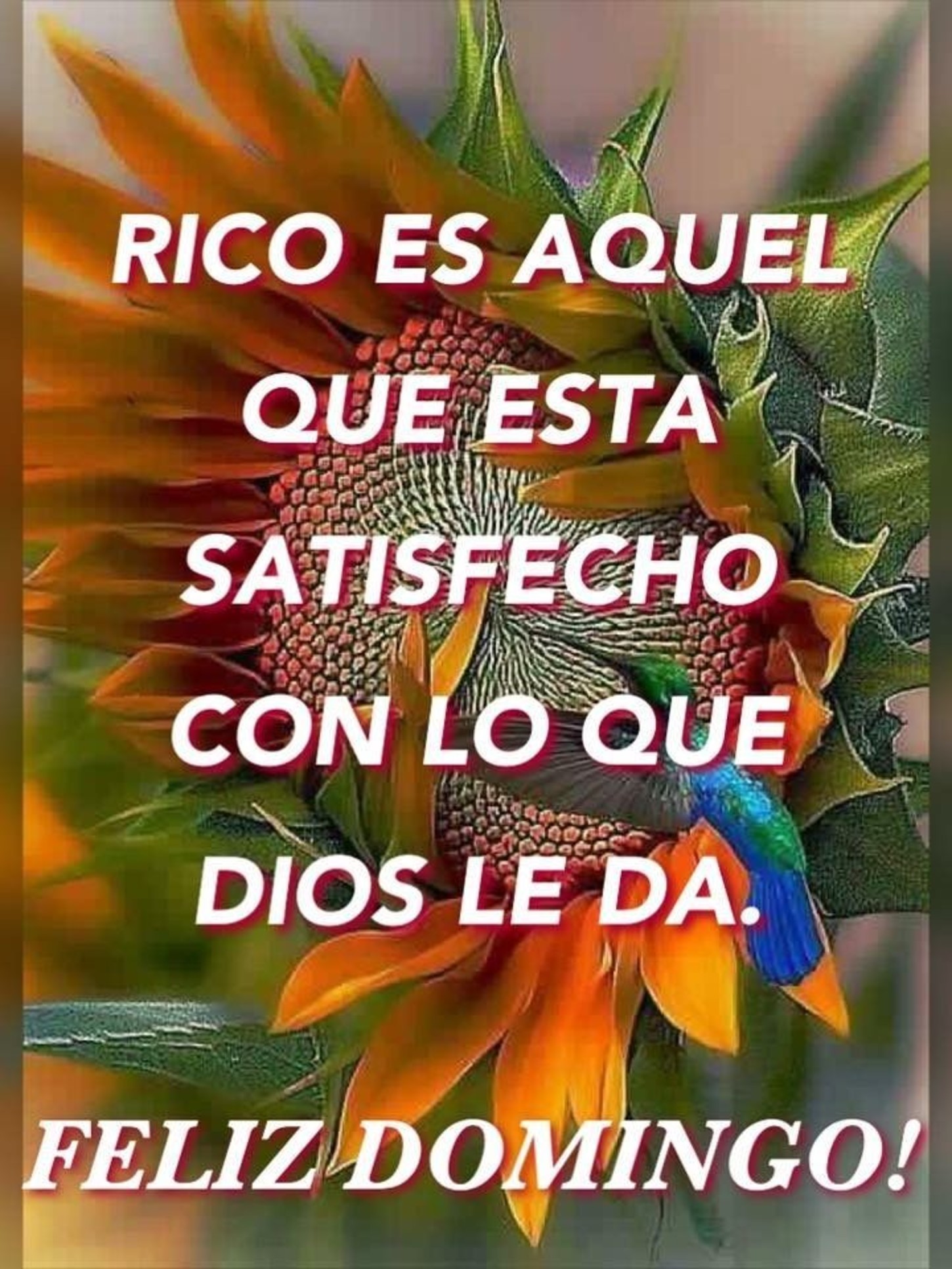 Feliz Domingo imágenes con frases 52