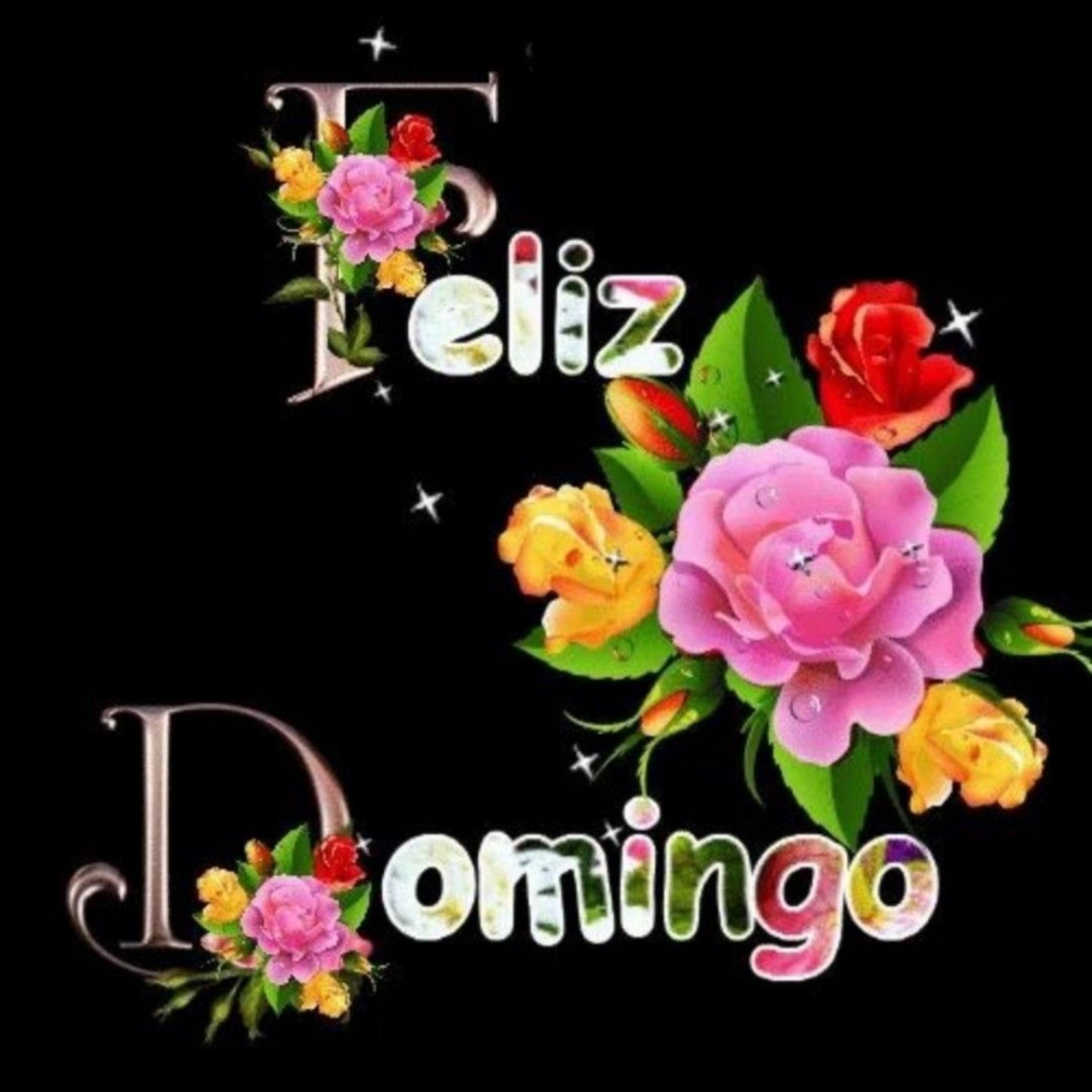 Feliz Domingo lindas imágenes 260