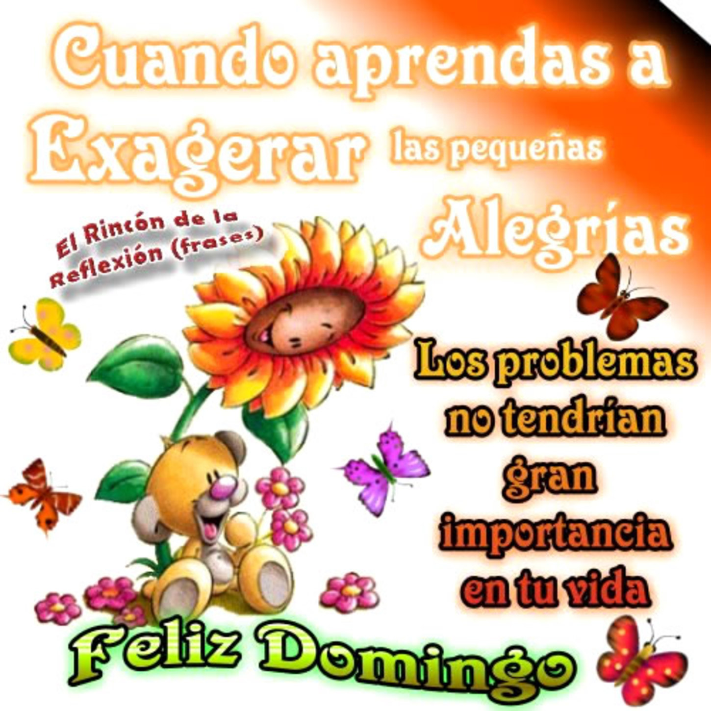 Feliz Domingo lindas imágenes 262