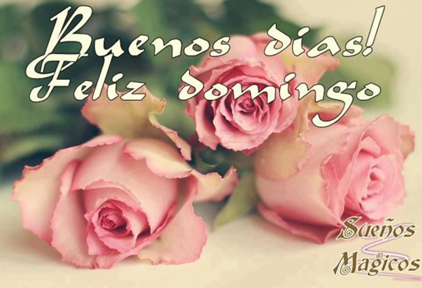 Feliz Domingo mi amor 152