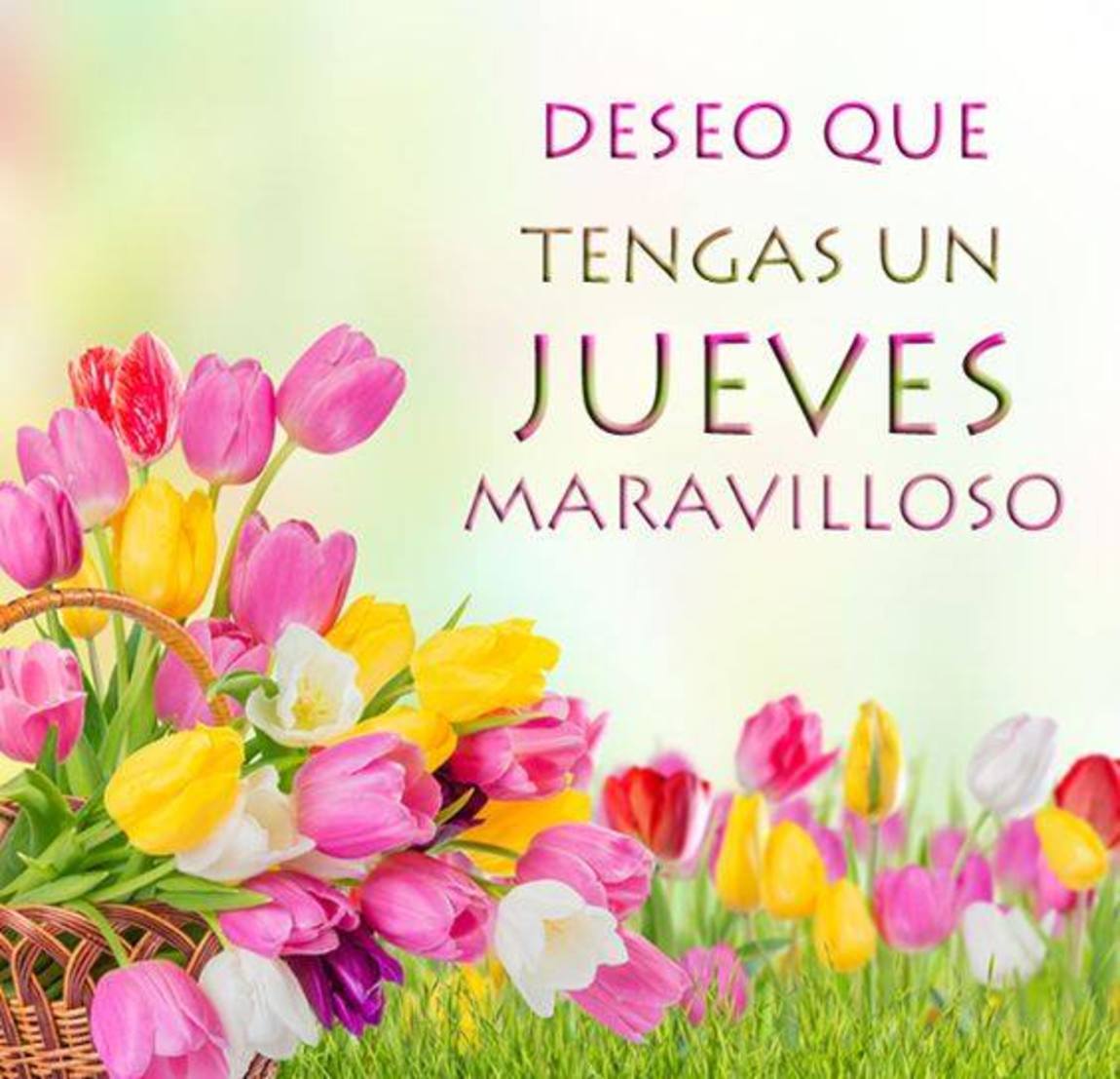 Feliz Jueves 114